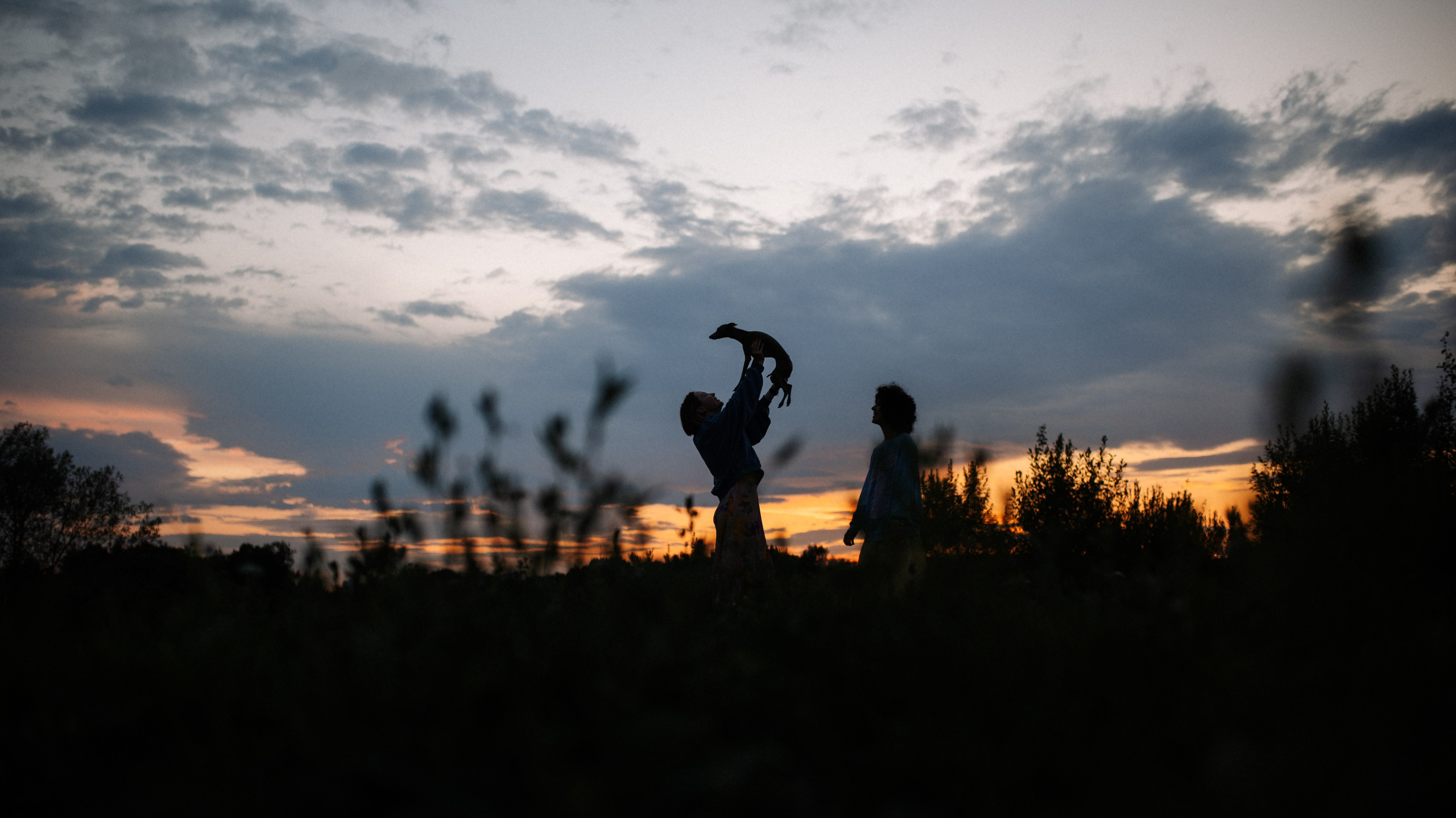 Хвост, смех и лучшие подруги. Фотограф анималист в Москве Ольга Агушева