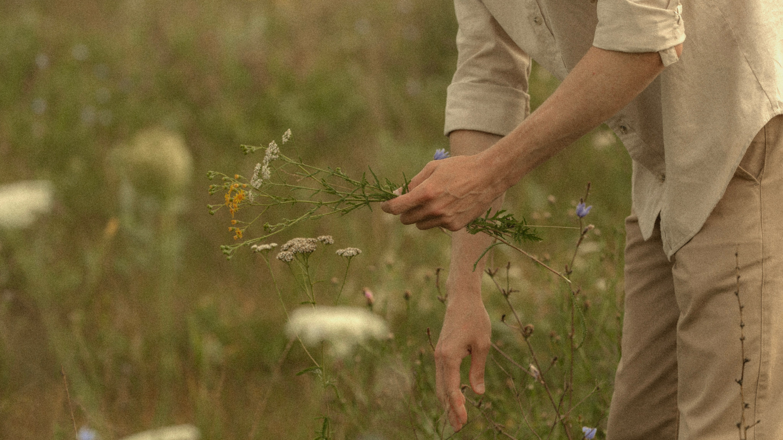 «Случайная встреча». Фотограф и Видеограф Артур Гимаев