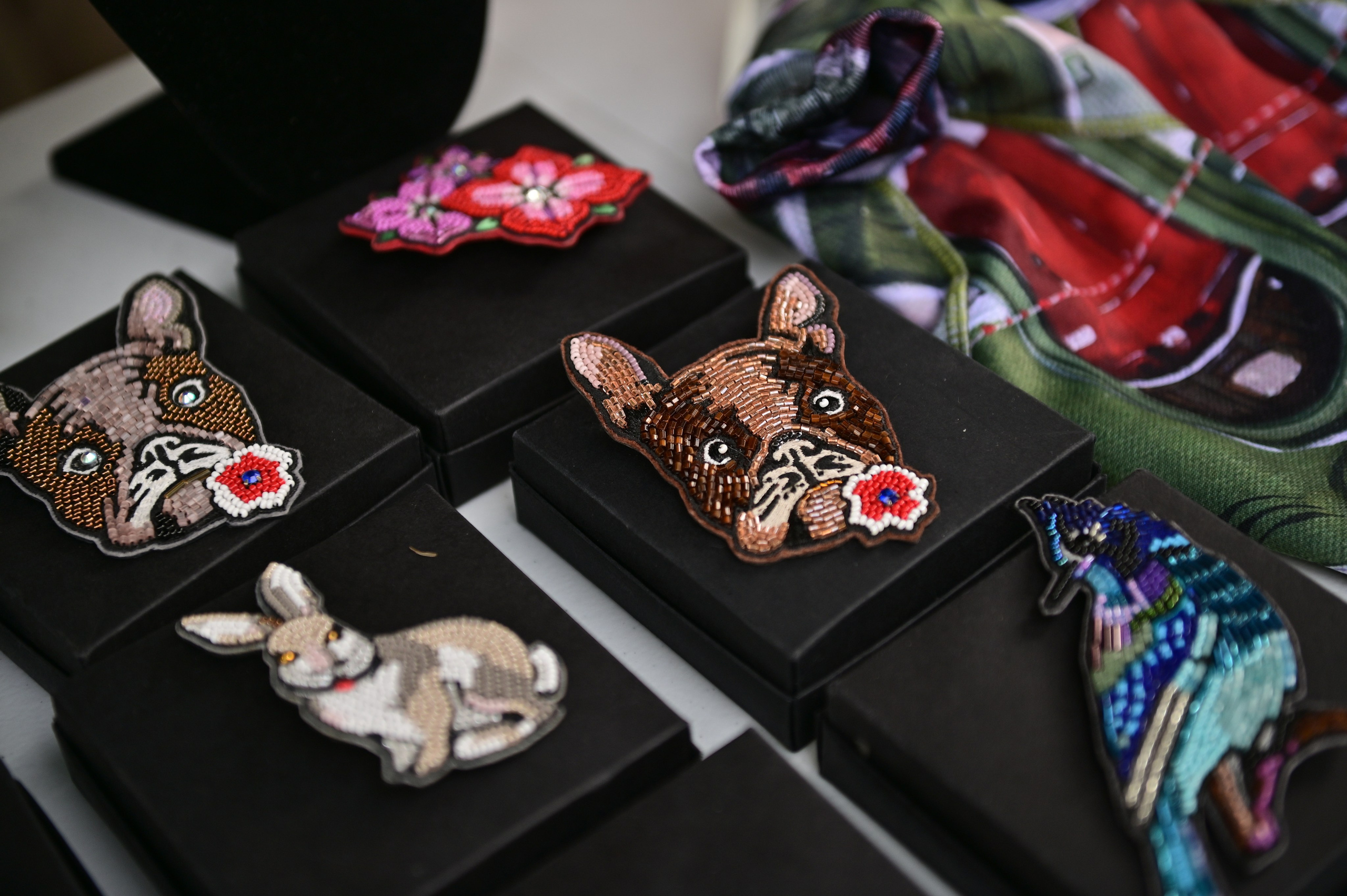 Парад французский бульдогов. Анна Пушина, фотограф, Москва, Королев, Пушкино