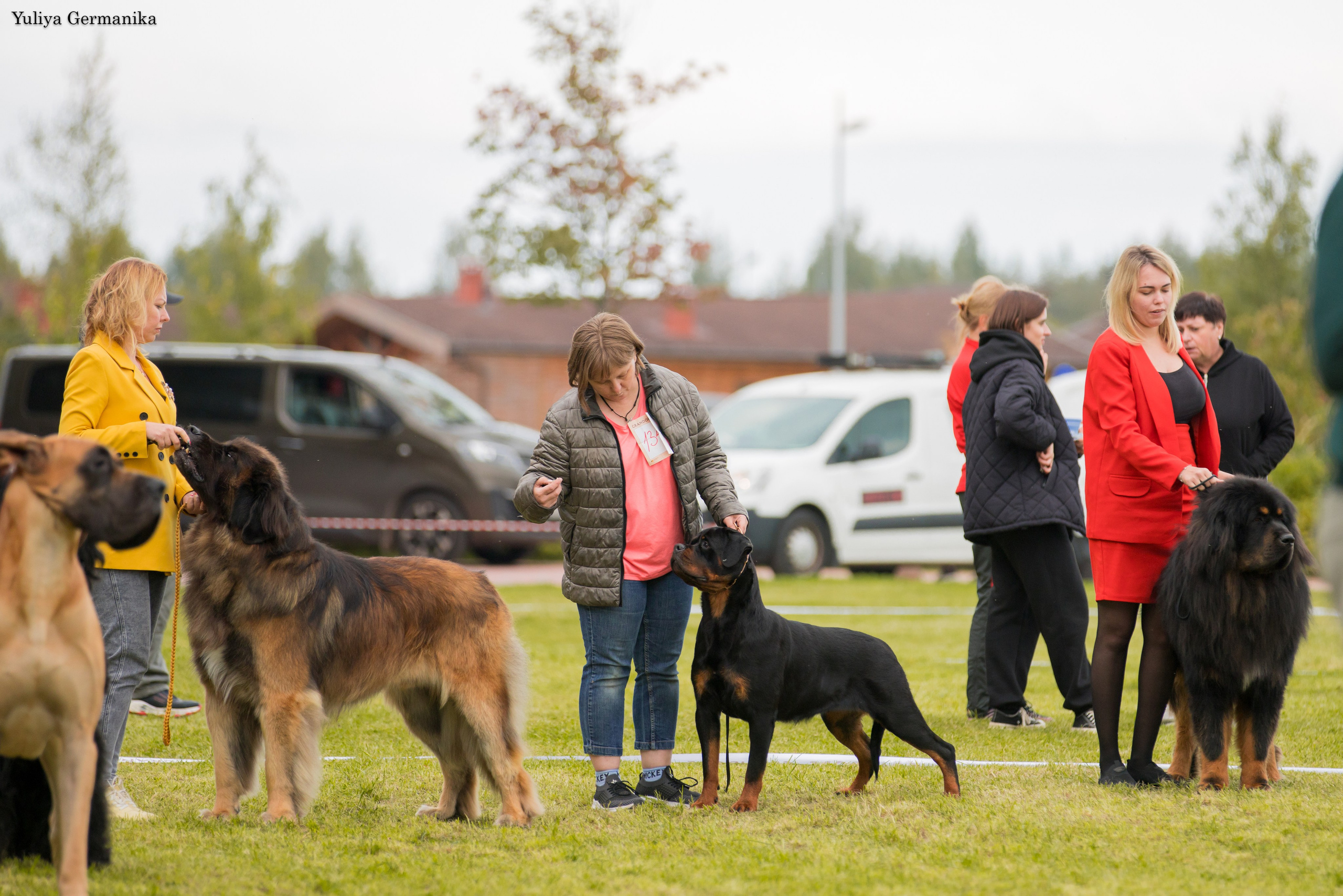 Переславль 9-10.09.2023. Фотограф-анималист Юлия Германика