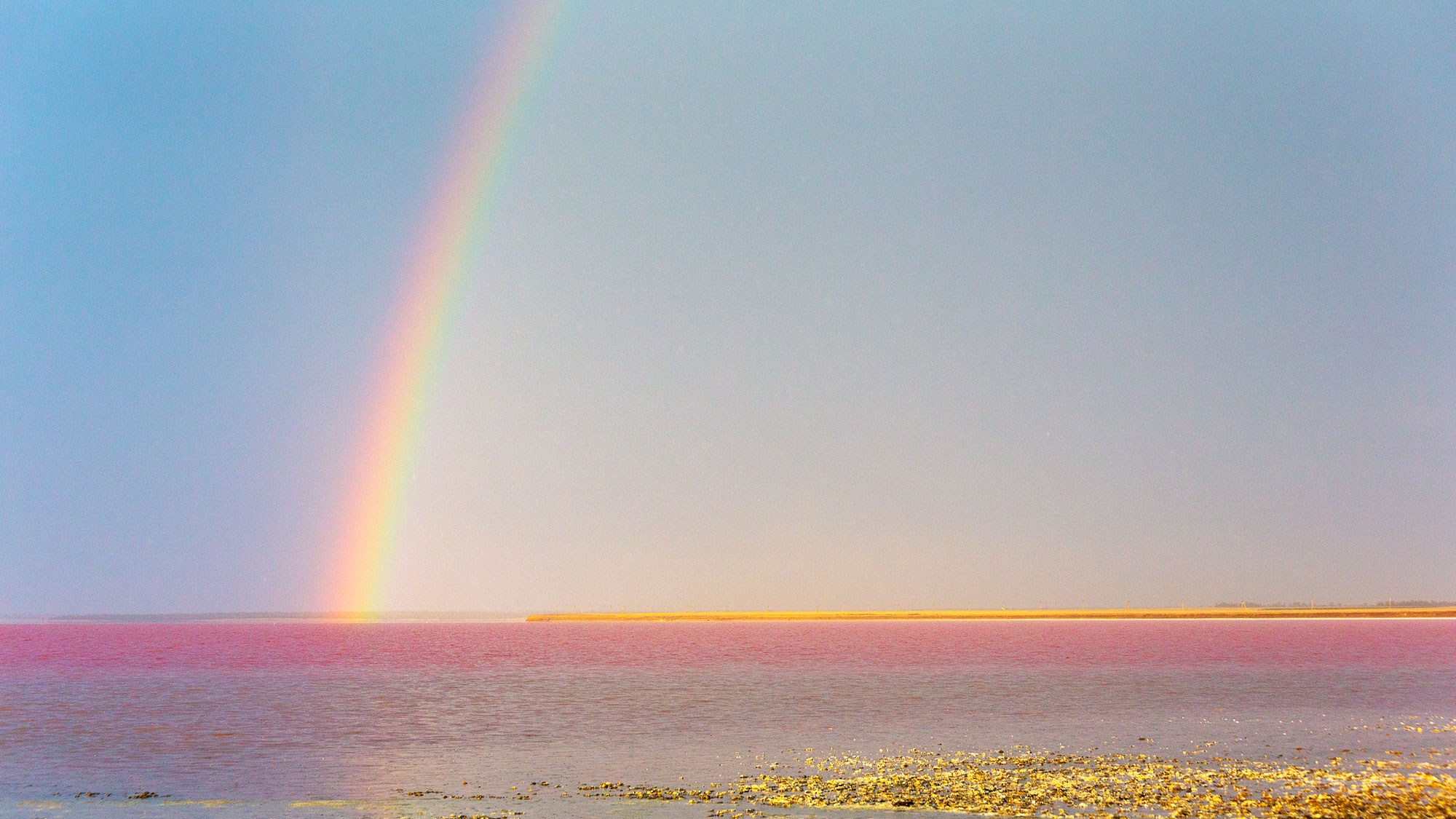 Свадебный фотограф в Геленджике