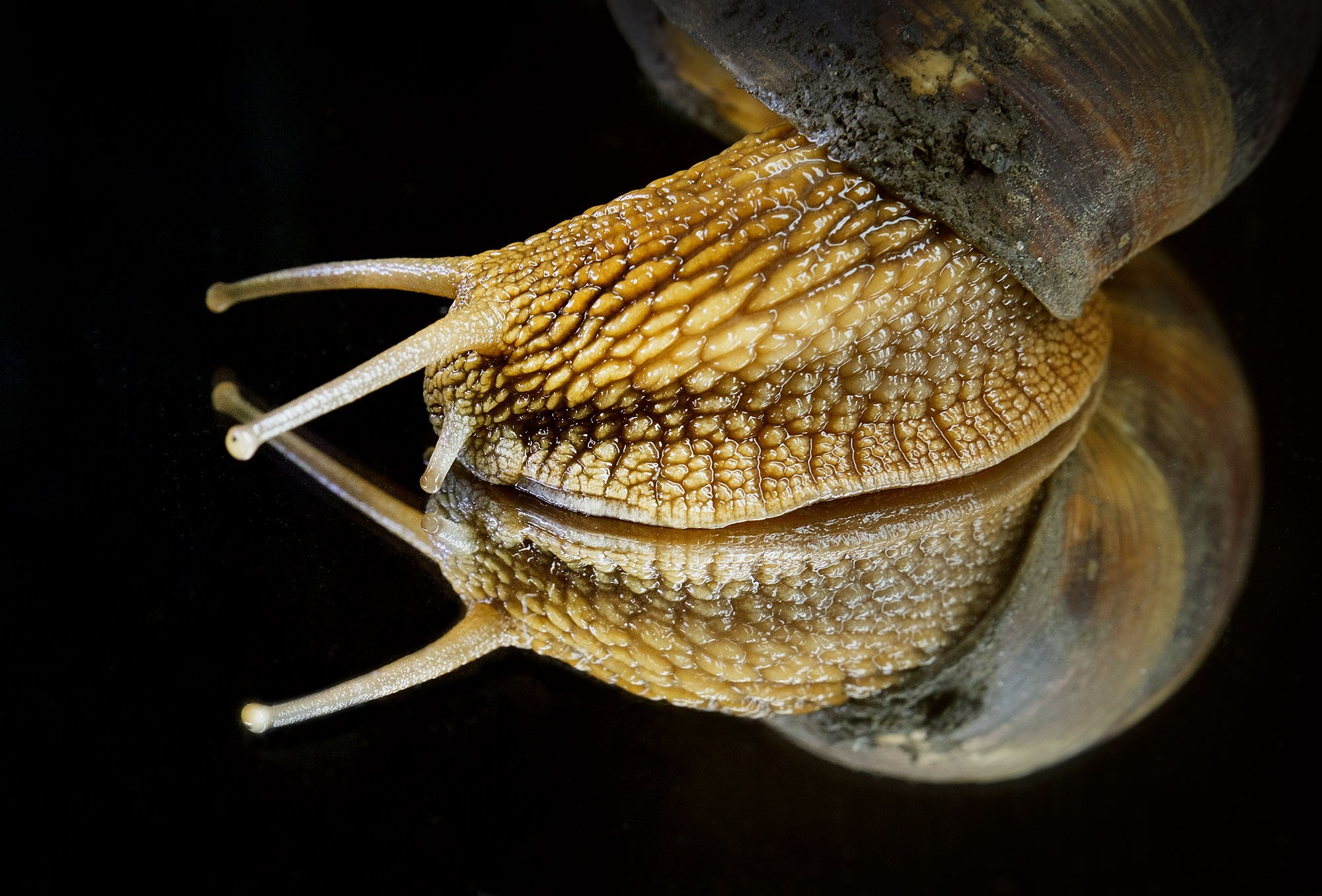 Свадебный фотограф в Геленджике