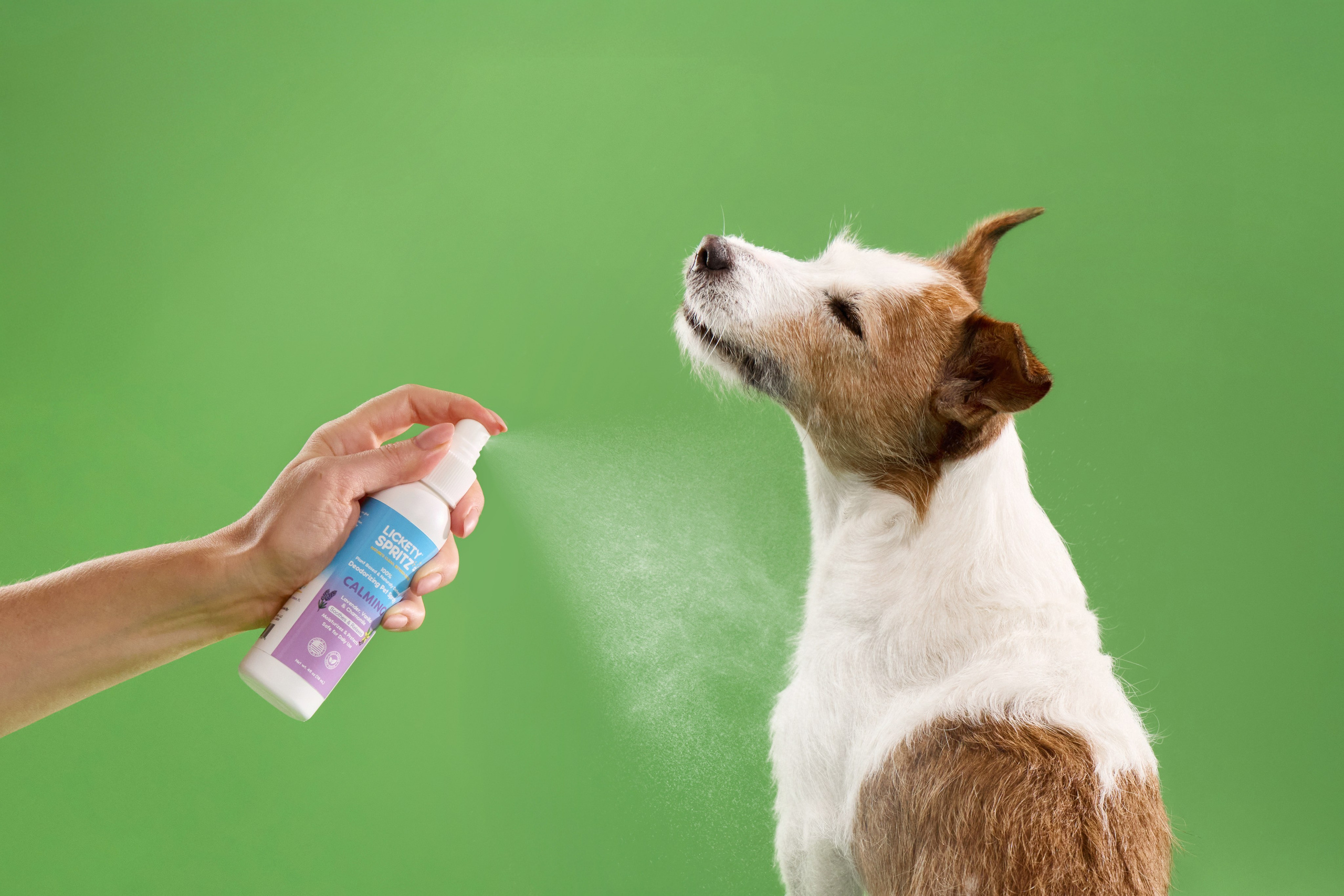 Рекламная фотосъёмка с участием животных. Фотограф-анималист Аверьянова Анна — Художественная фотосъёмка собак