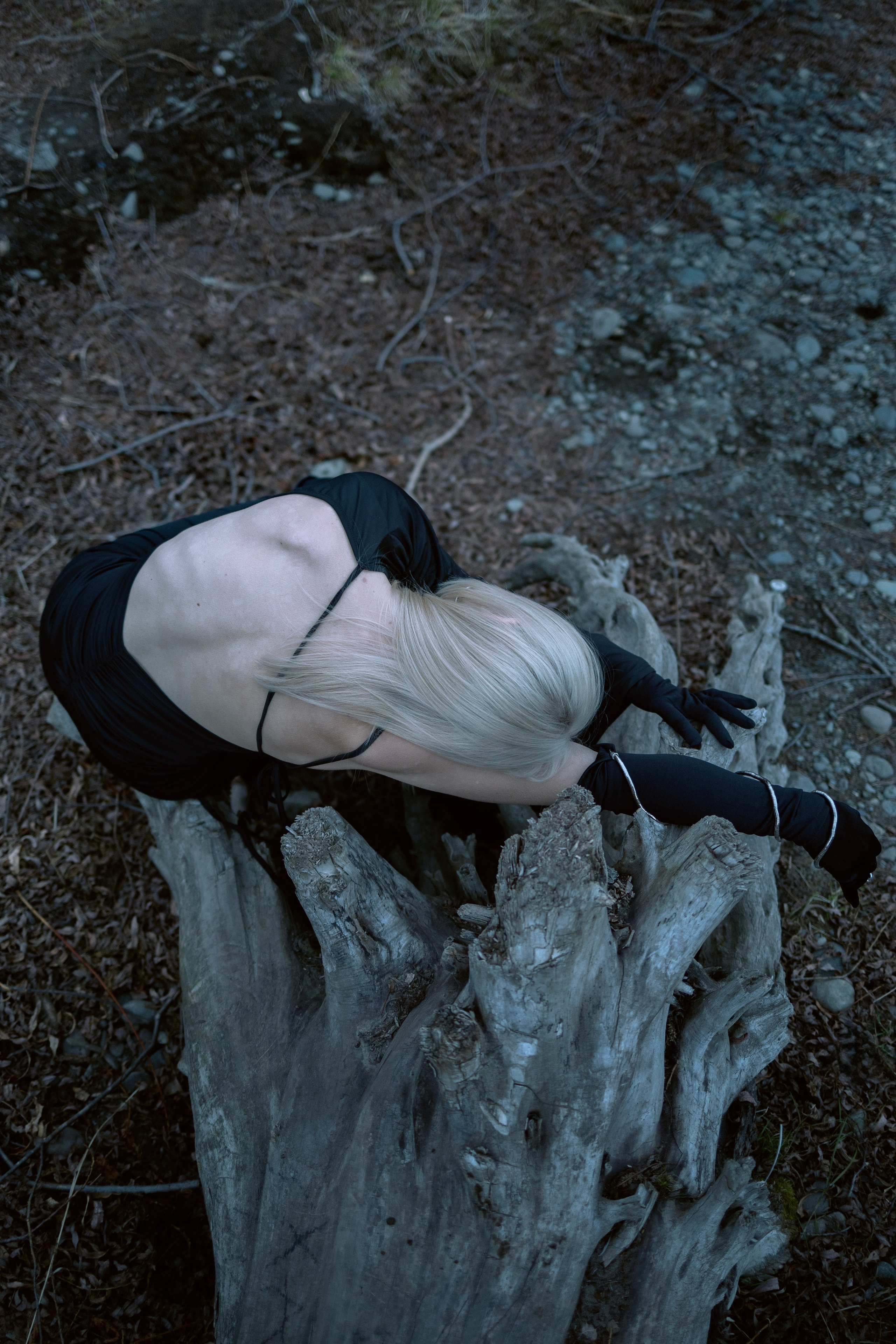 Алина. Свадебный фотограф в Петропавловске-Камчатском Артур Зябов