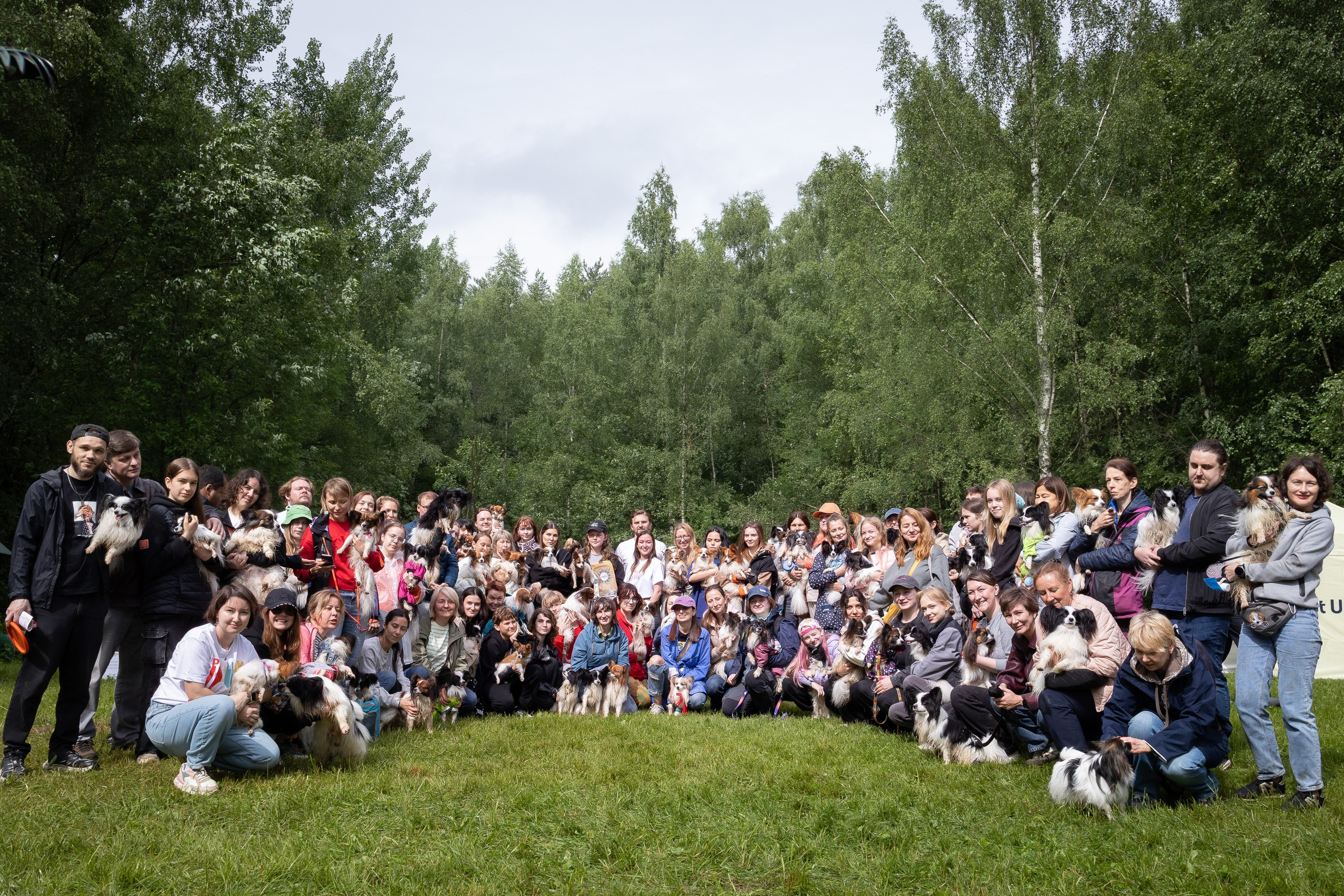 Встреча Папийонов. Фотограф анималист, семейный фотограф, фотограф собак Комратова Мария. г. Москва