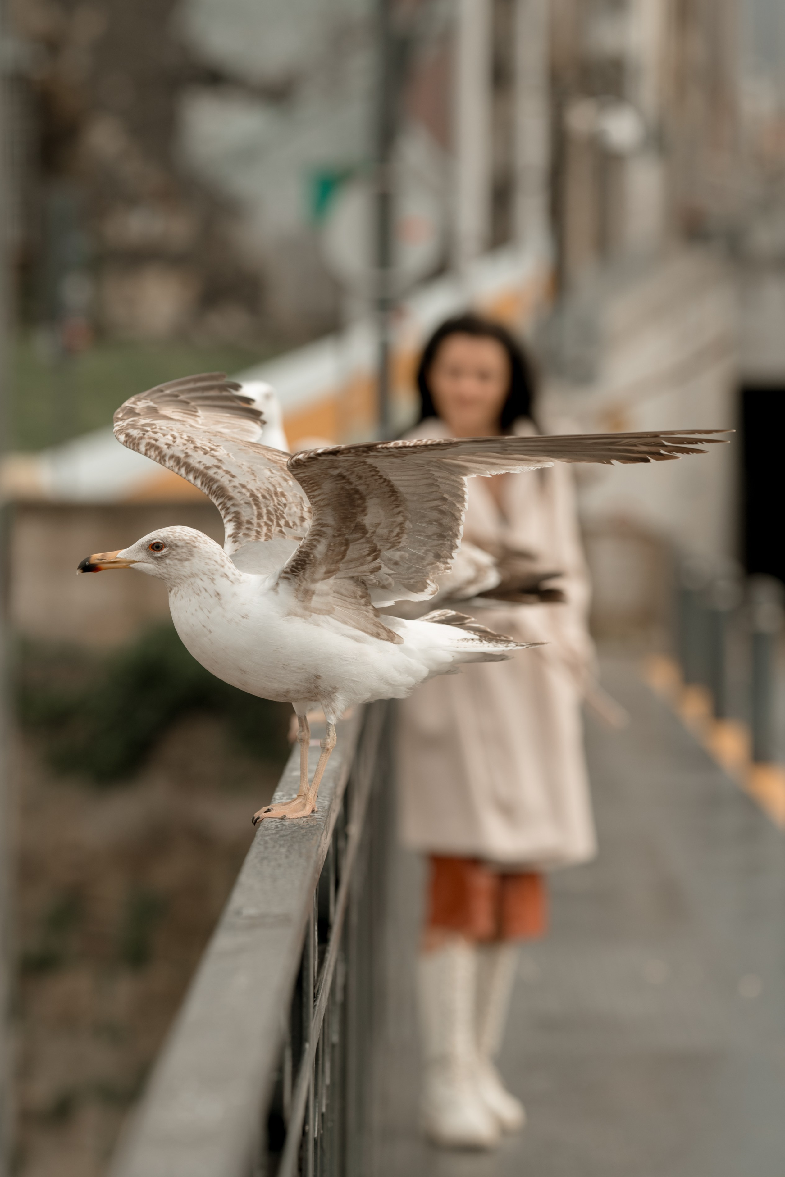 IRINA. FOZ. Anastasiia Antoniuk portrait, family and couple photographer, Portugal