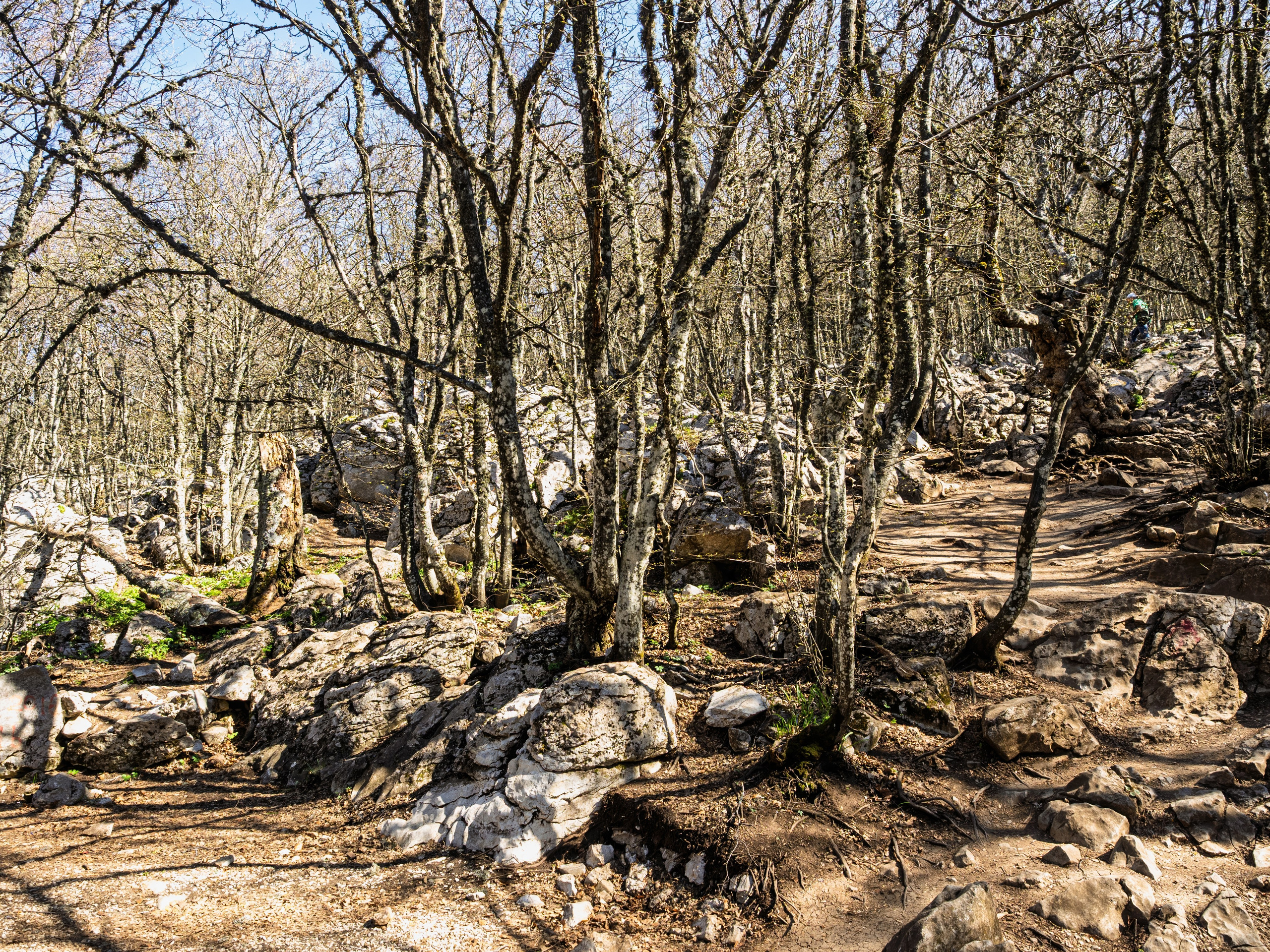 Крым, Утес, 2021 год. Фотограф Никифоров-Гордеев Сергей. Москва и МО