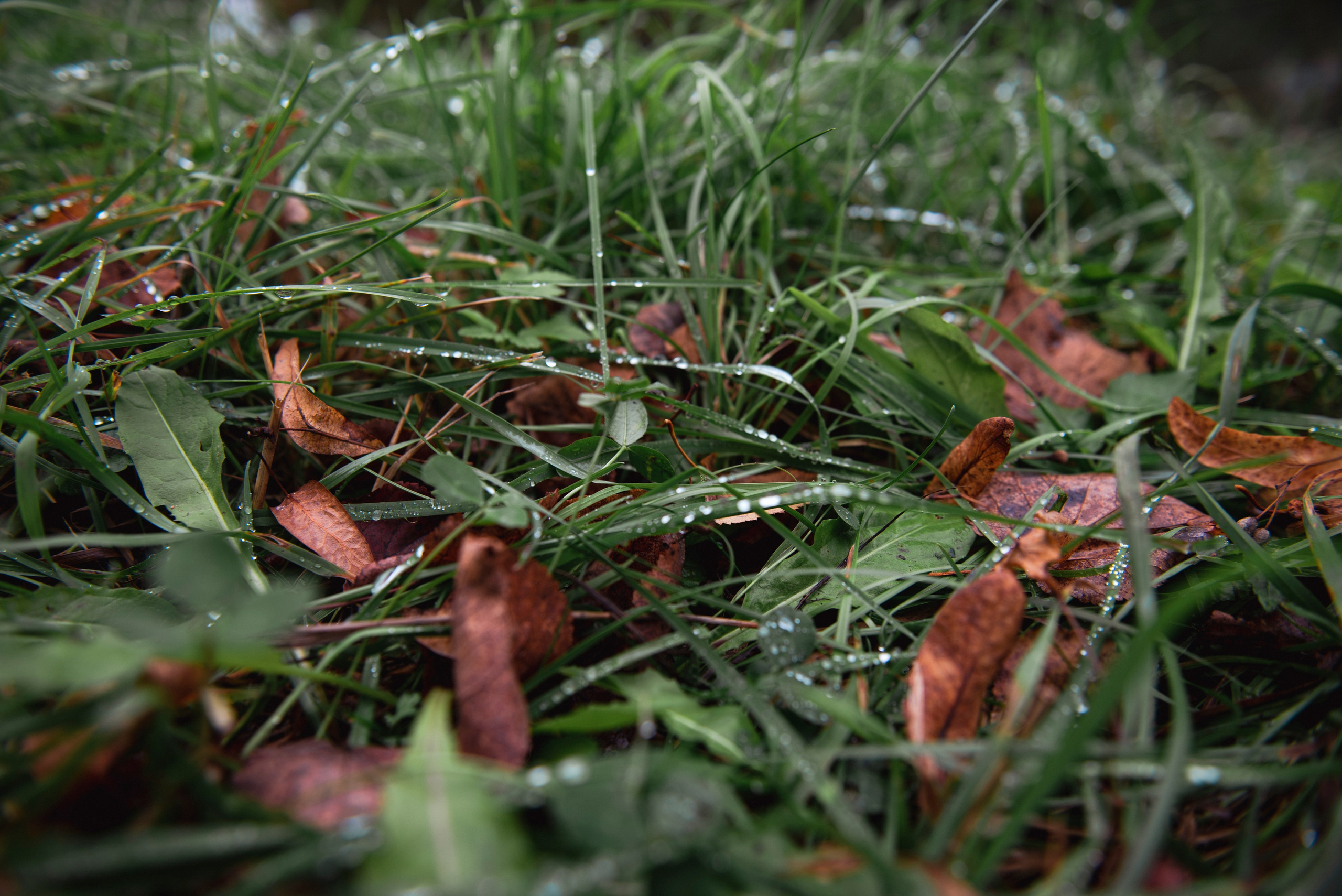 Осень. Портретный и архитектурный фотограф в Москве и Санкт-Петербурге