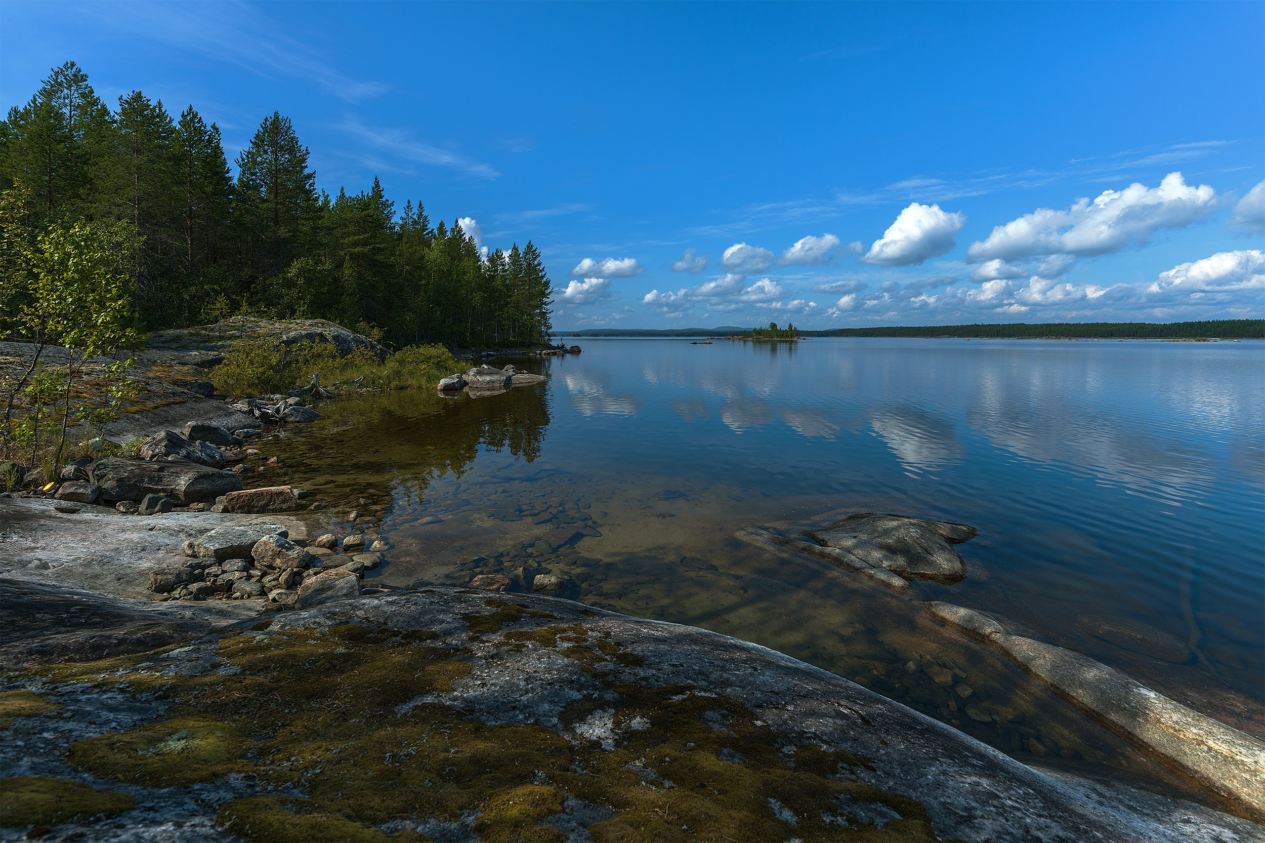 Пейзажи. Сайт фотографа Елены Михайловой. Фотосессии на пленэре в Сестрорецке