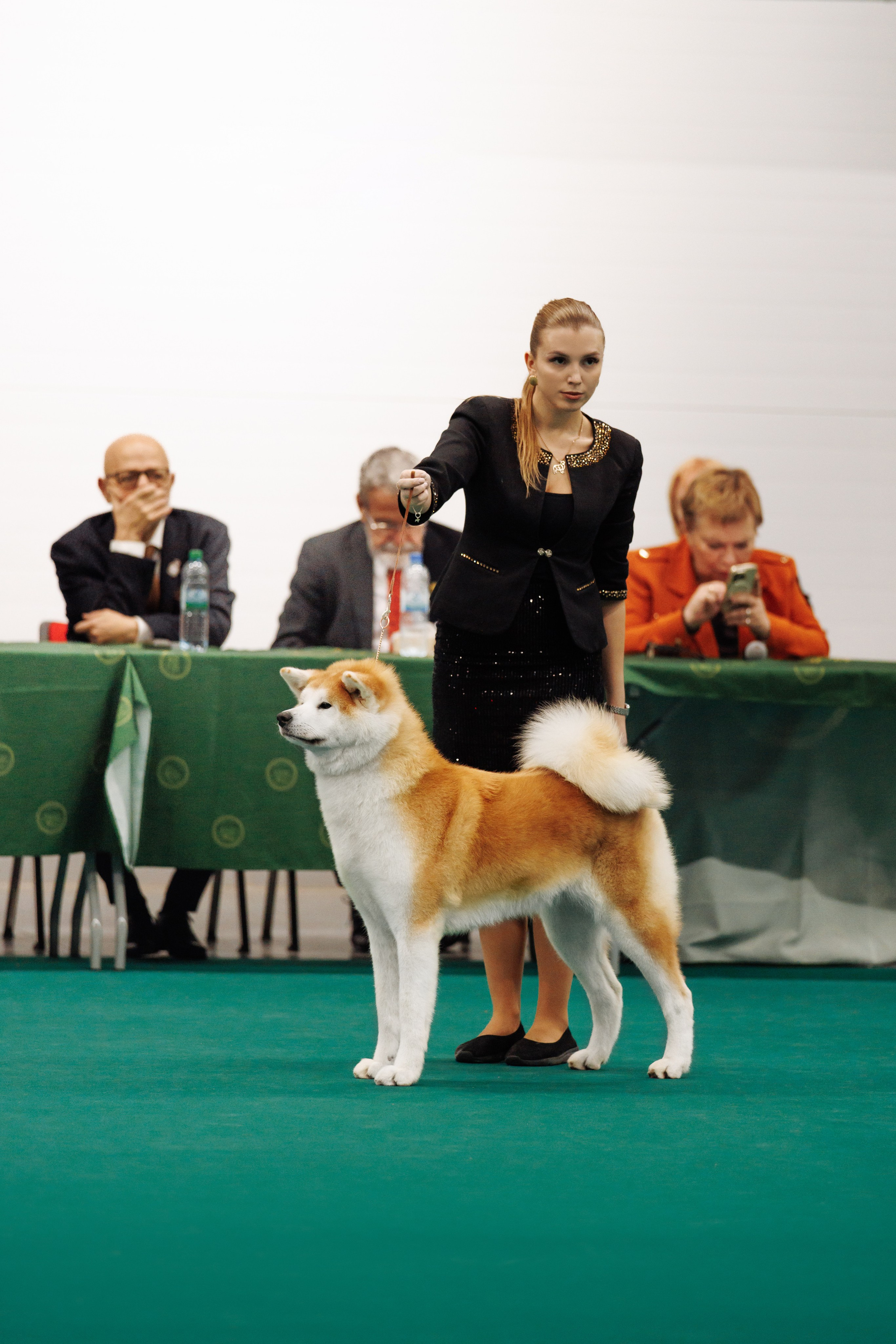 29-30.11.2025 — Казань «Зилант». Фотограф-анималист Саша Вязьмина