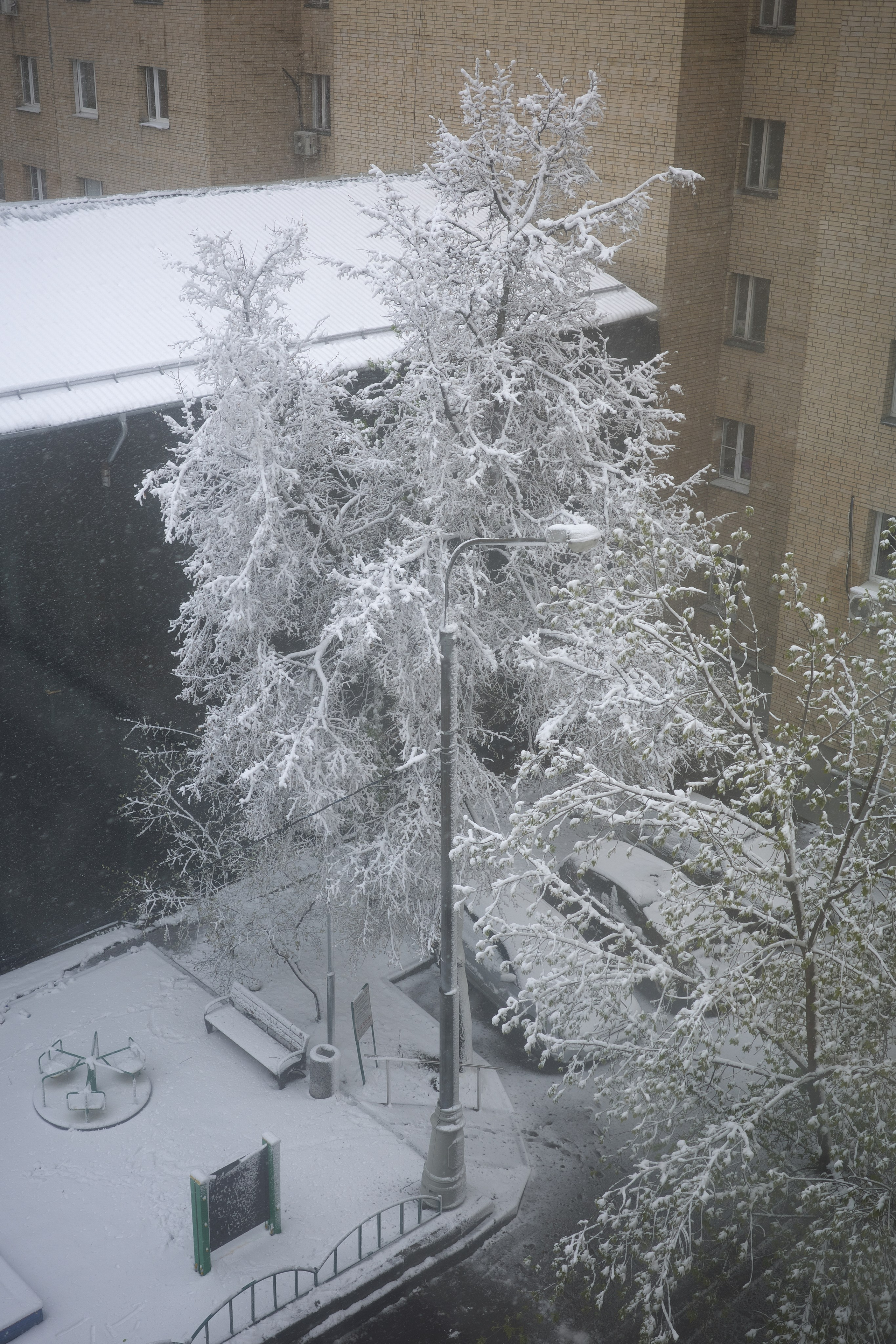 Апрельский снег ❄️. Миша Печёнкин | фотография