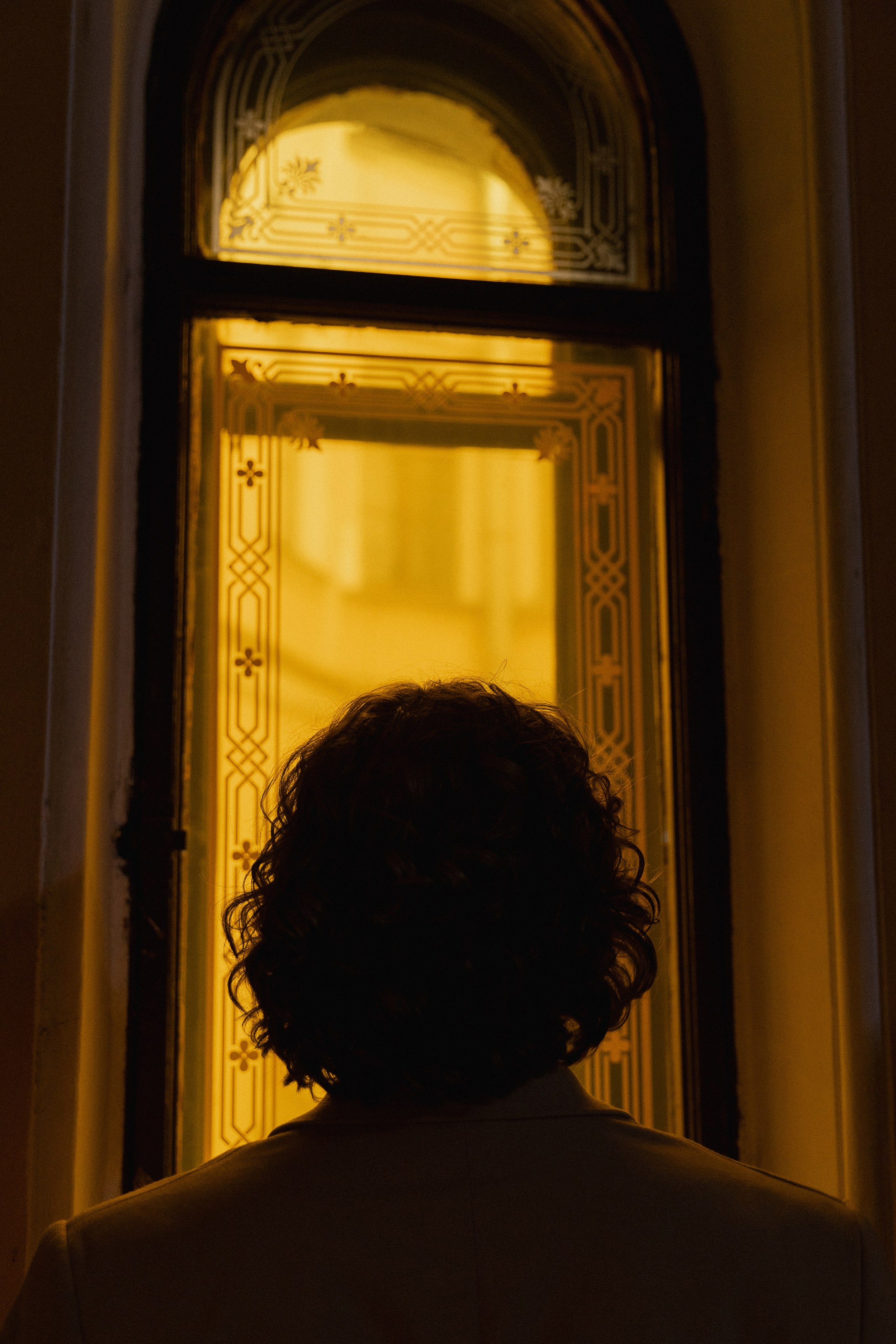 Парадная Ромашка. Фотограф Вышний Волочек/Тверь/Москва/Санкт-Петербург