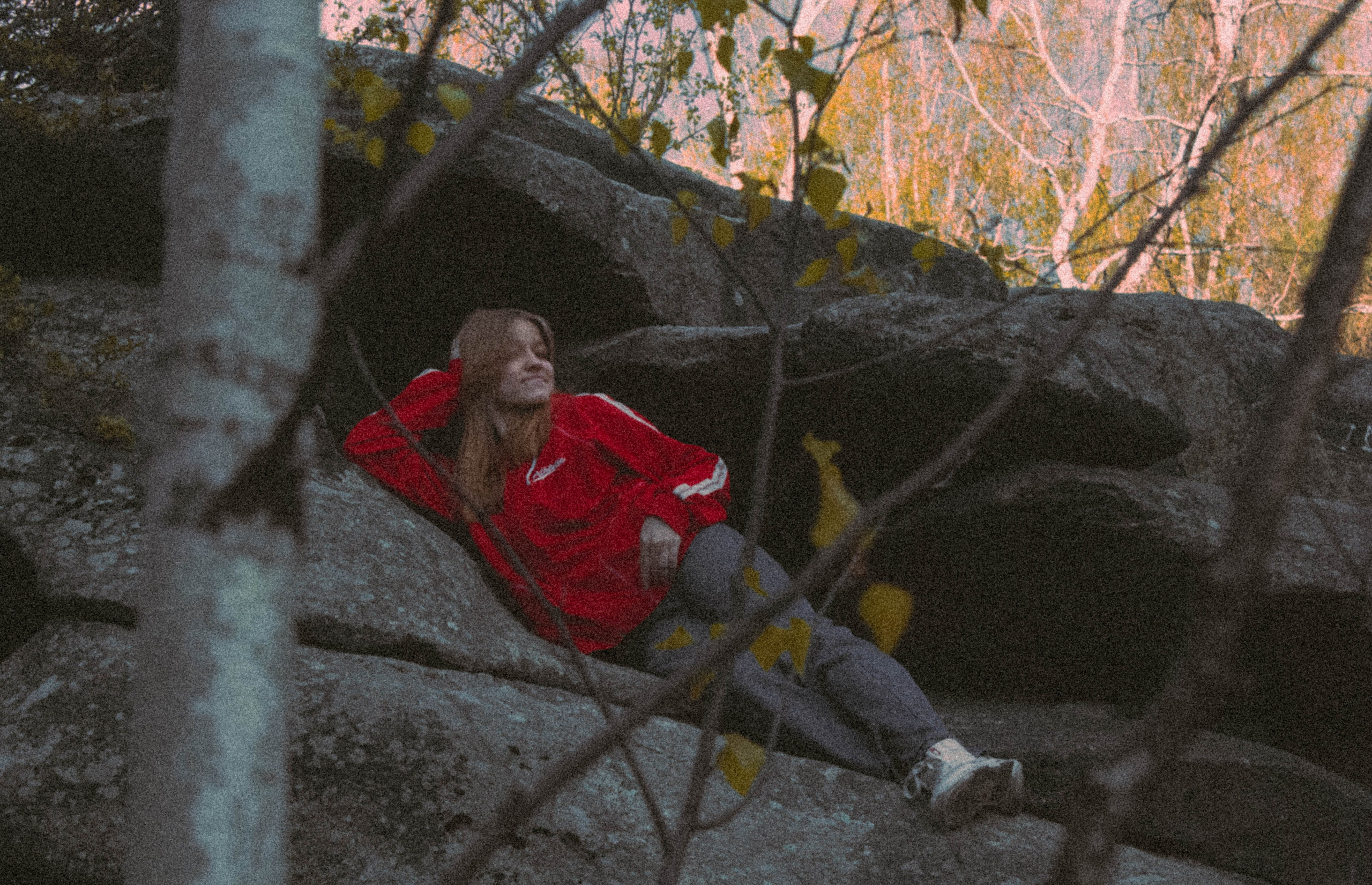 «Без названия»