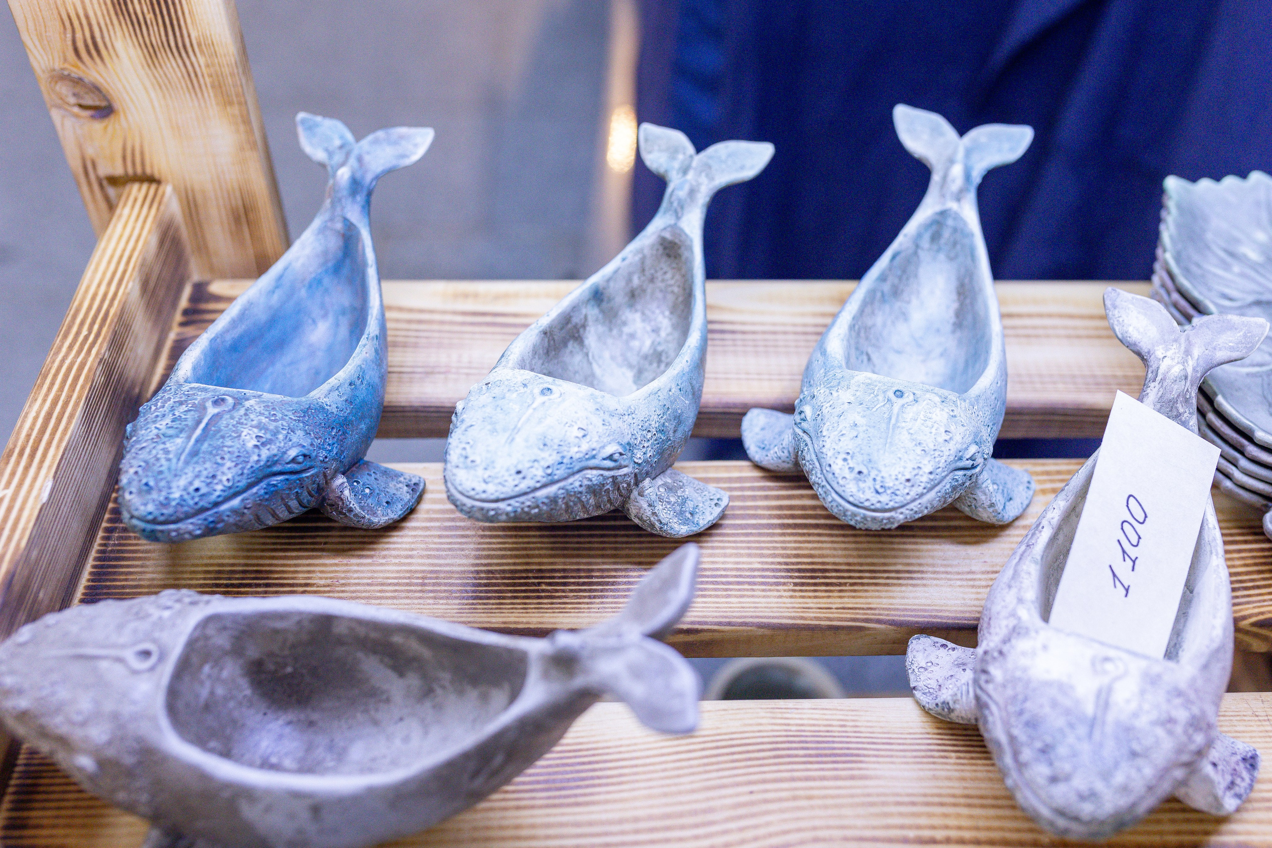 Орхидиум 12.2025. Александра Куликова фотограф, Москва