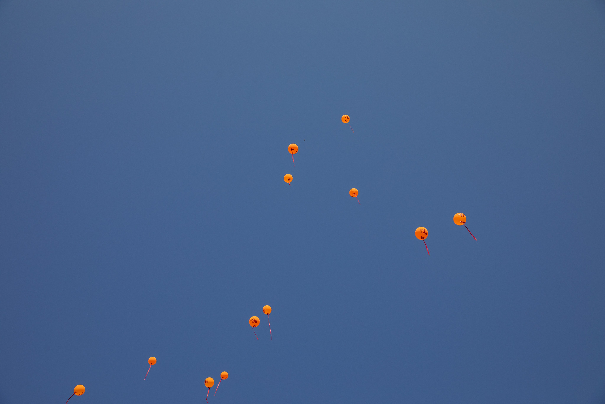 Школьная жизнь. Школьный и детский фотограф в г. Саранске Дарья Левина