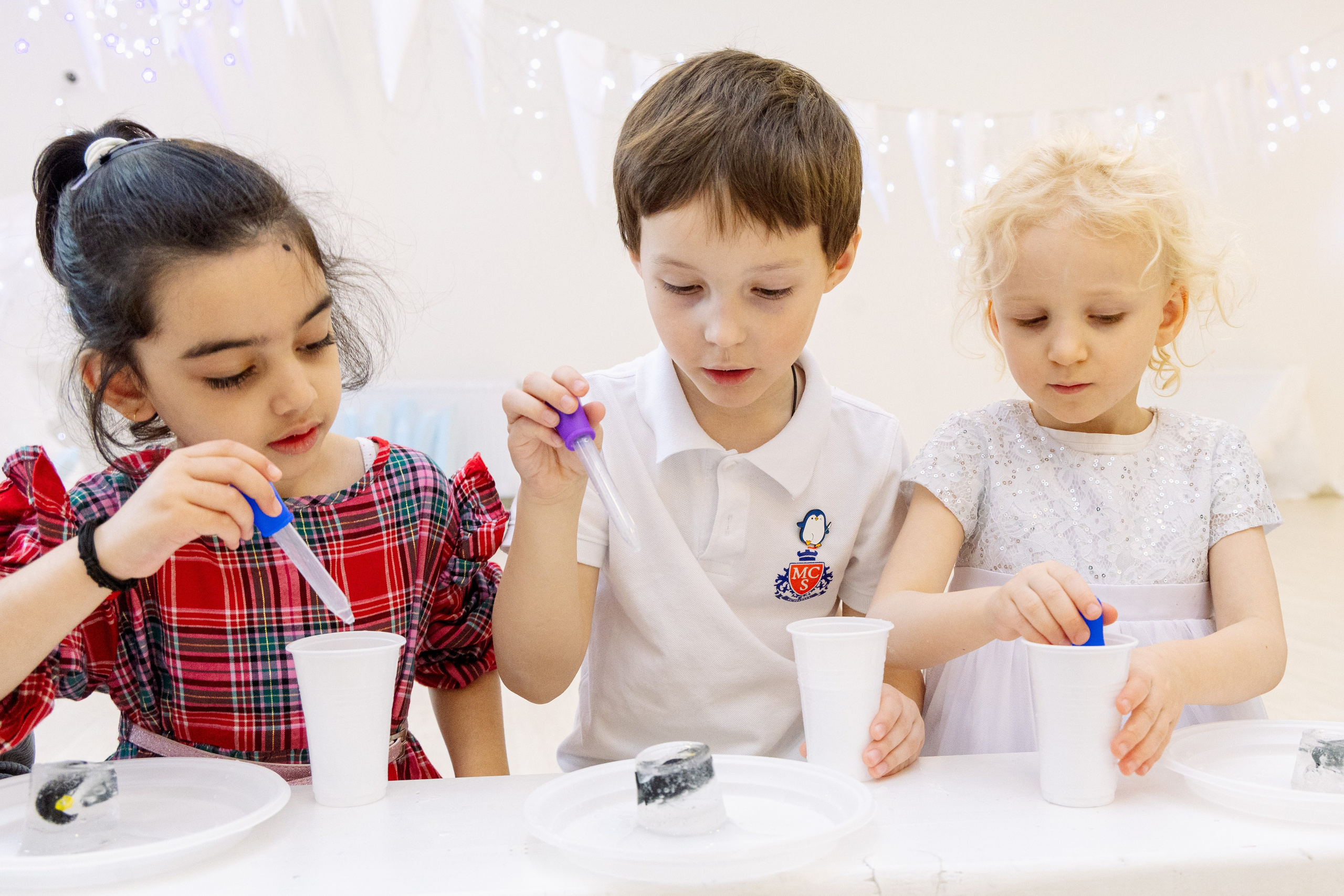 Школа и сад