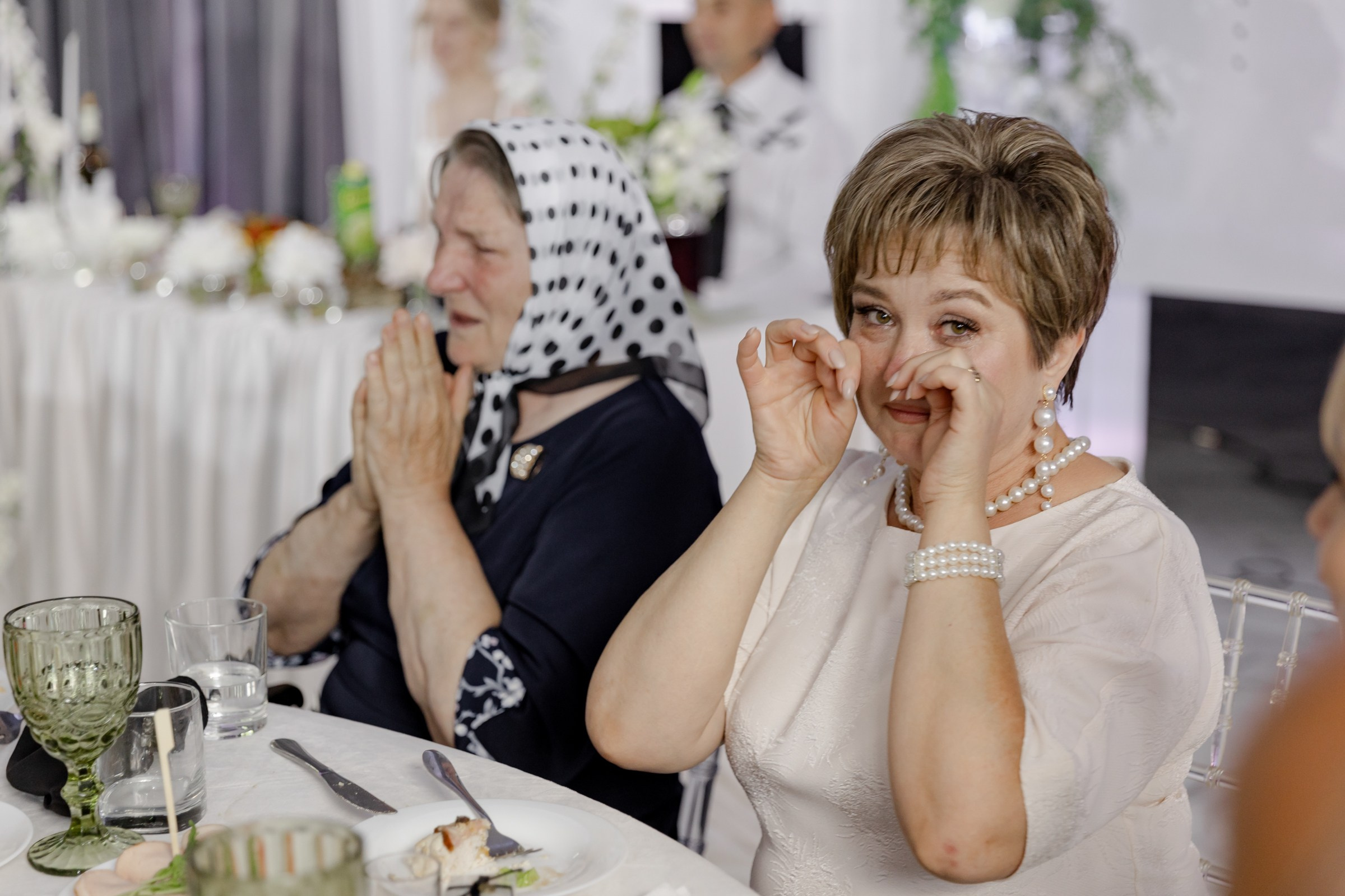 Свадьба пес и котики. Dima Lemeshevsky