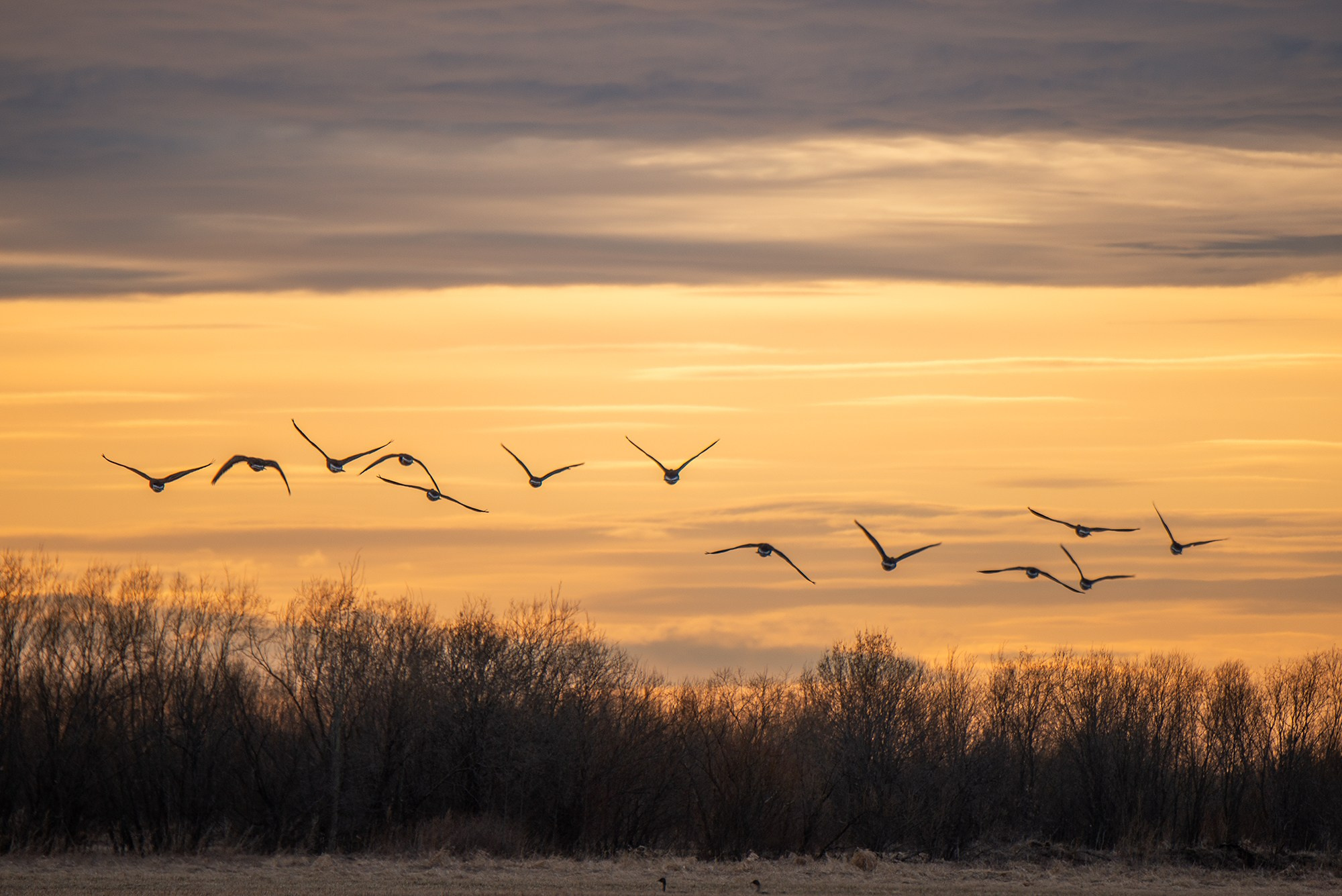 Пейзаж. Аэросъемка в Архангельске, Александр Ермолин