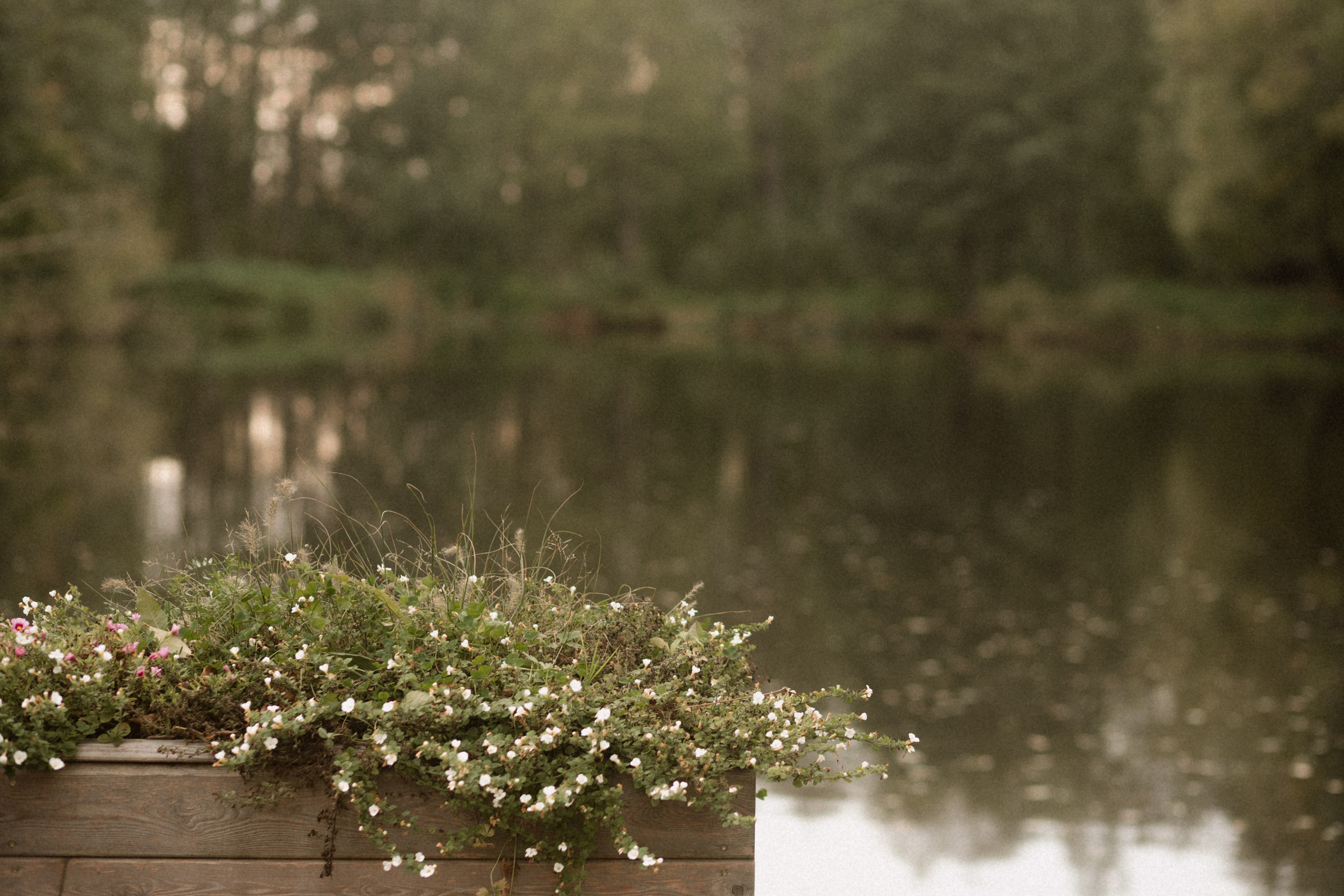 NOBILITY. Фотограф Лия Козловская Минск