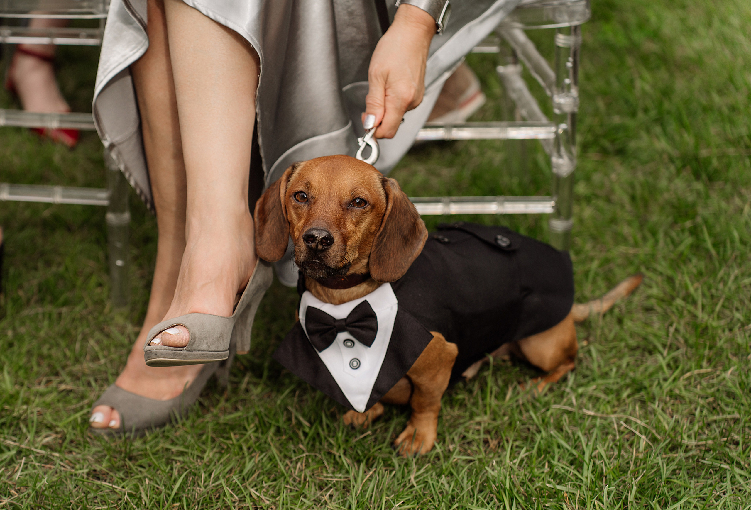 Клкллкаккк. Свадебный фотограф