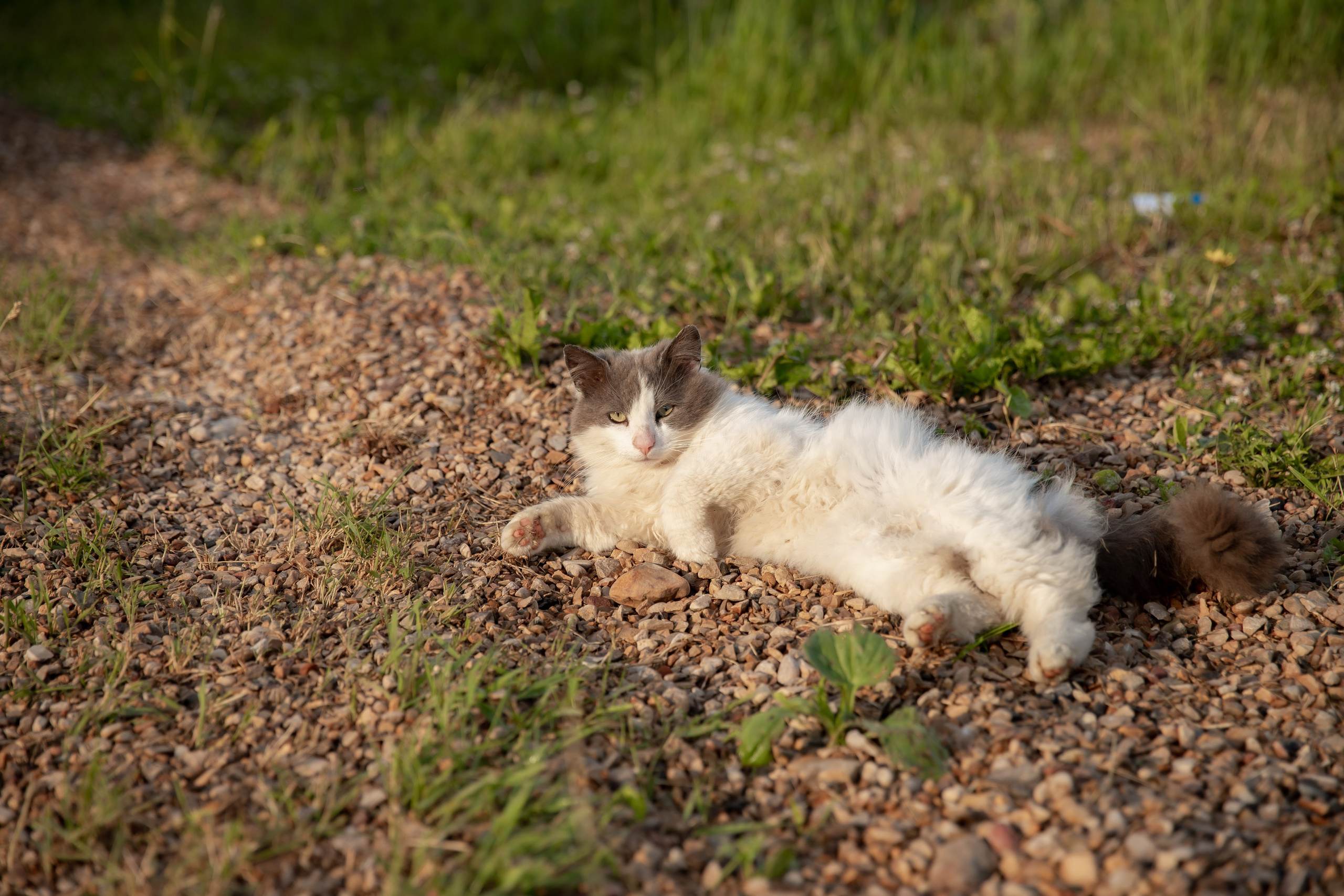 База отдыха в Тверской области. Территория. Фотограф недвижимости и контент-съемки в СПб