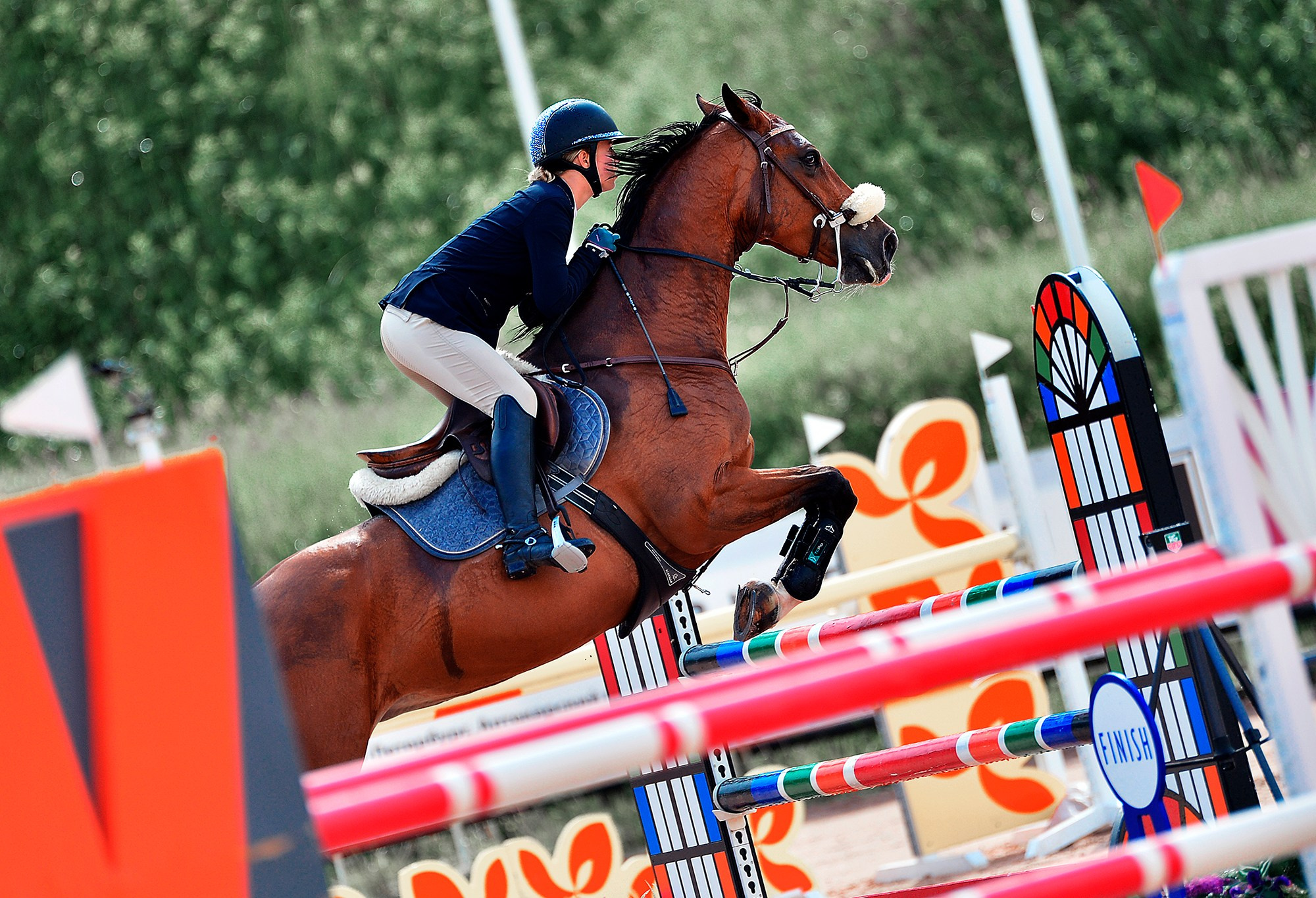 Конкур. Конный фотограф Alesya Safe