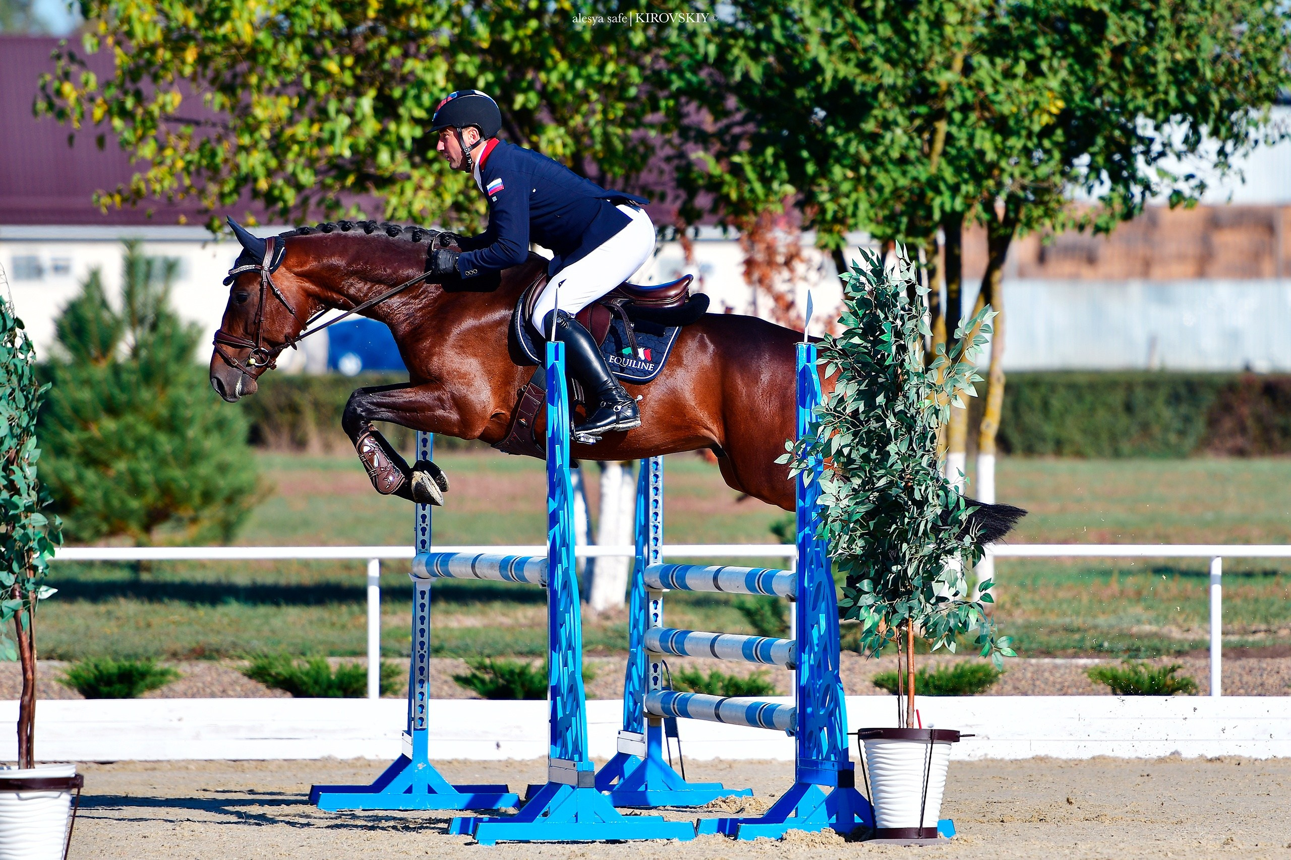 Кировский конный завод. Конный фотограф Alesya Safe