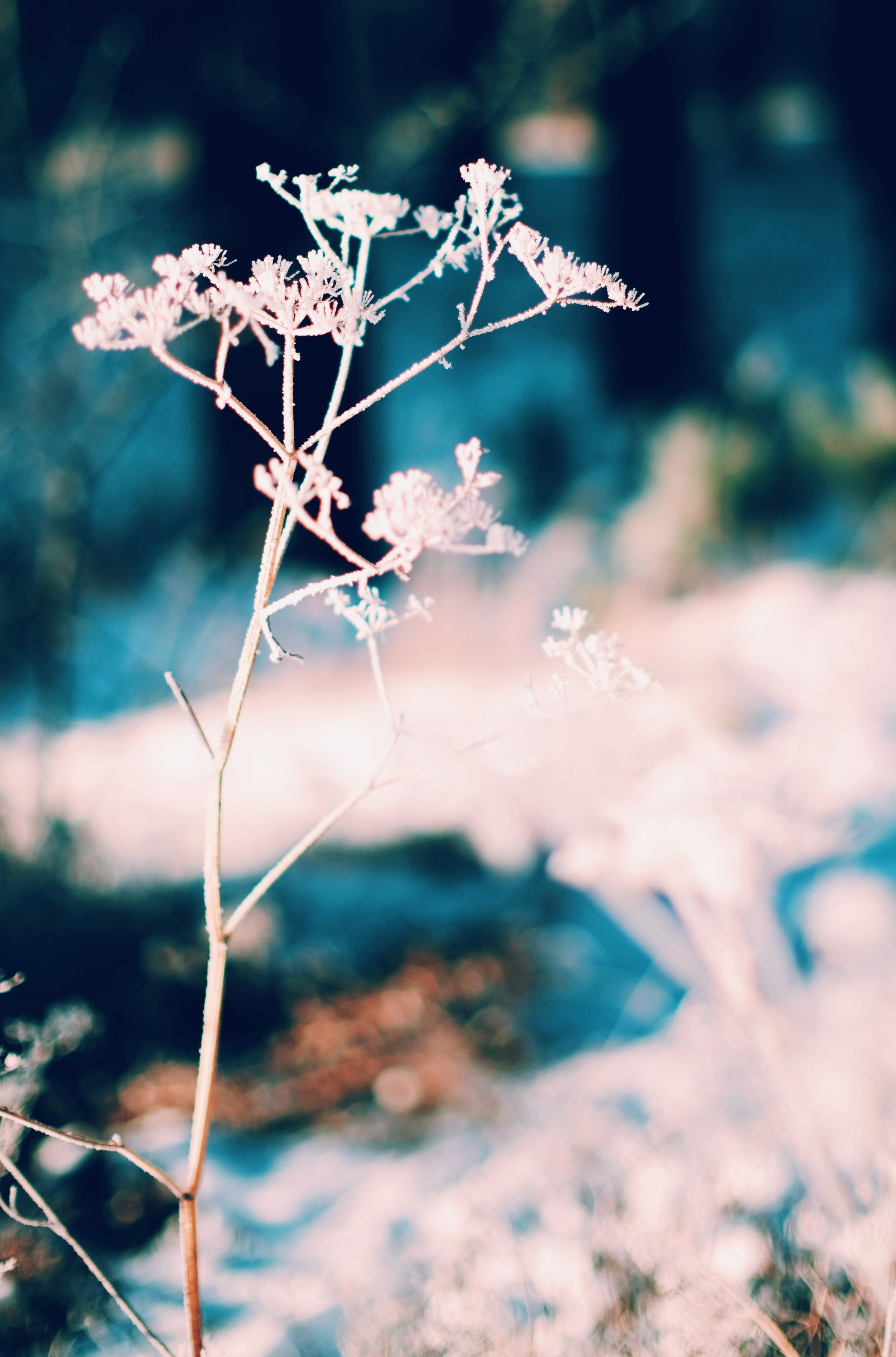 Nature. GubanovPhoto