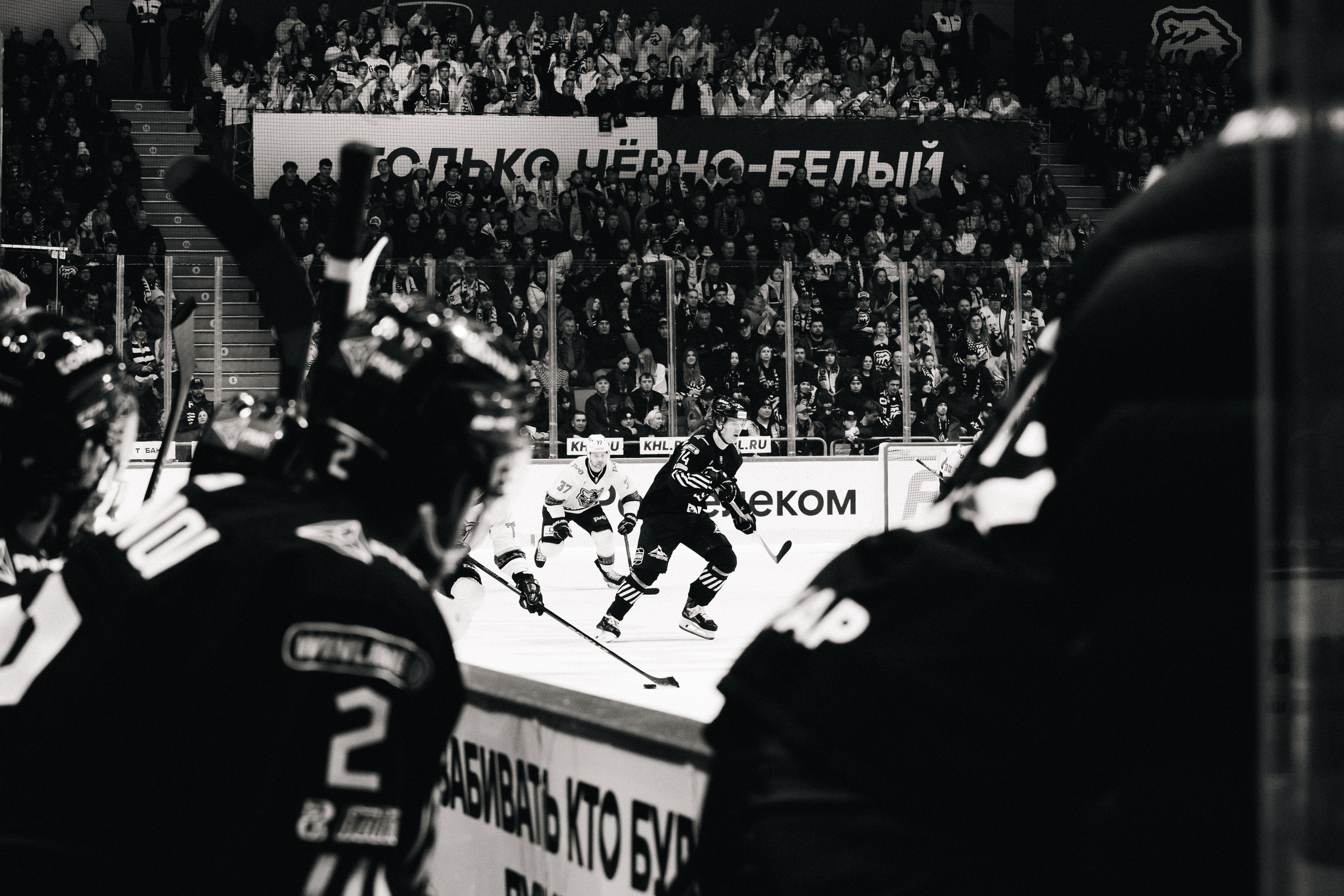 СПОРТ. Репортажный фотограф Наталья Лапцевич