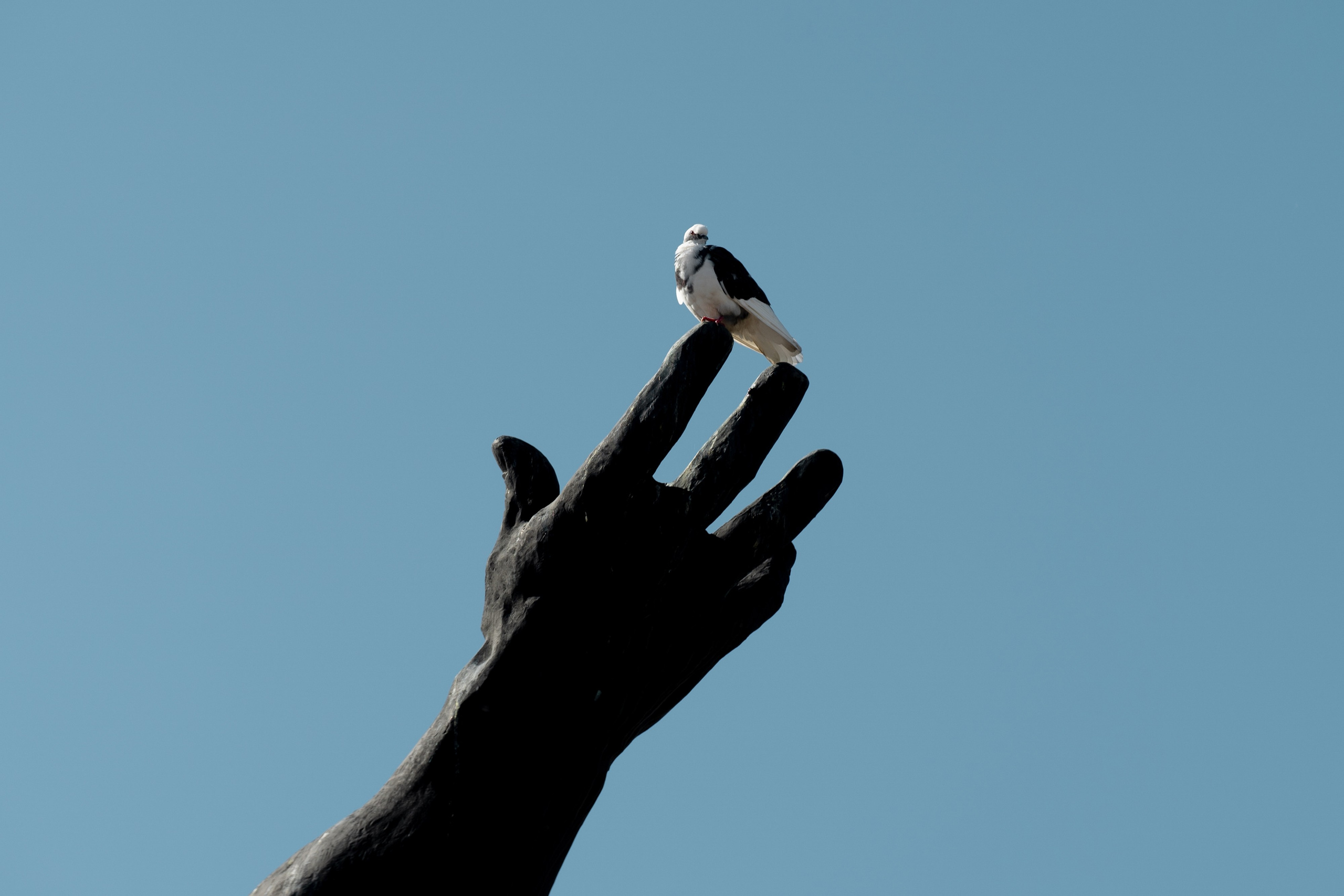 СТРИТ И ПРИРОДА. Репортажный фотограф Наталья Лапцевич