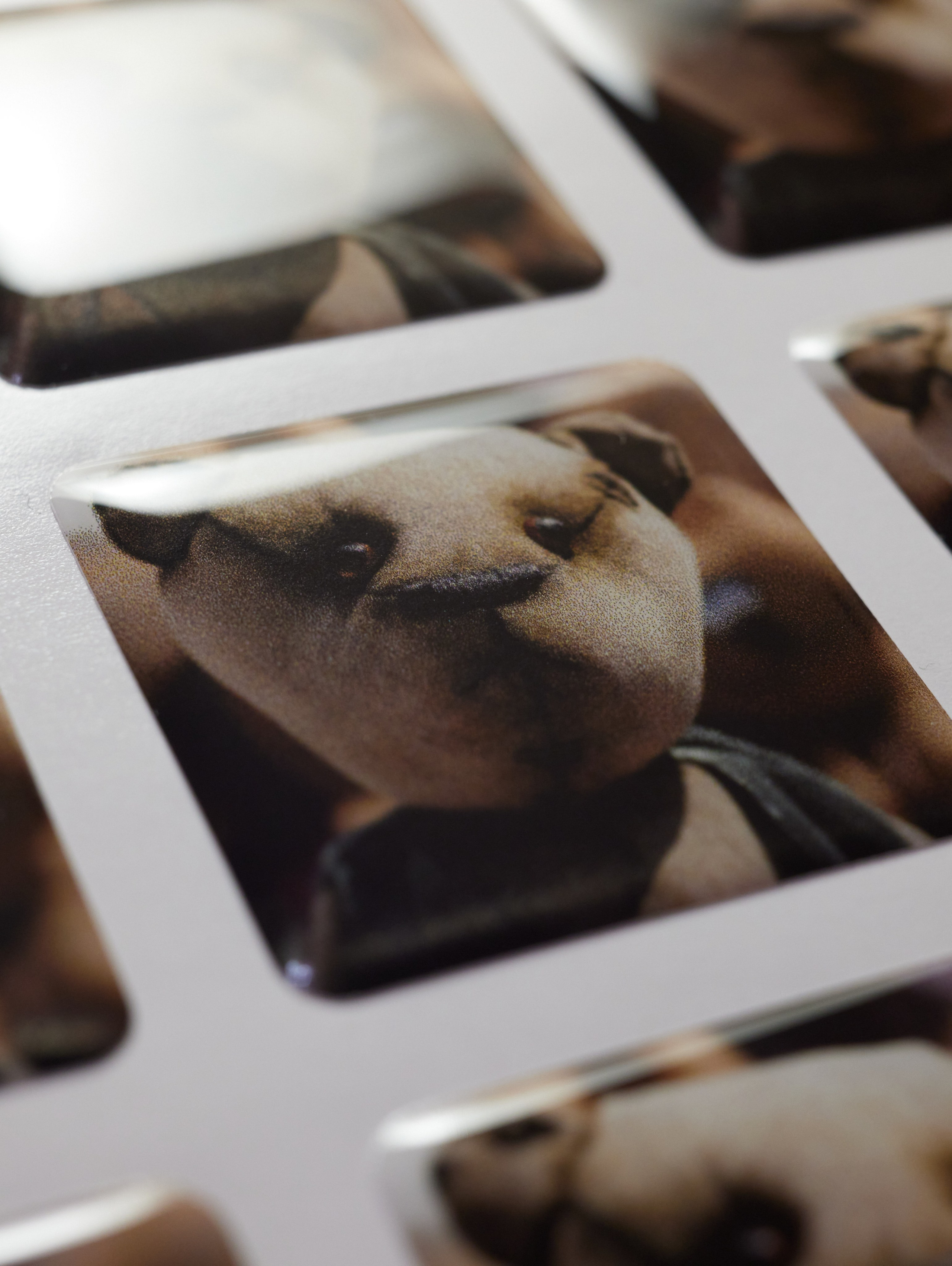 Полимерная этикетка. Имидж Технологии — Производство сувенирных магнитов, заливных этикеток и значков. Репортажная фотография в Кирове Кировской области