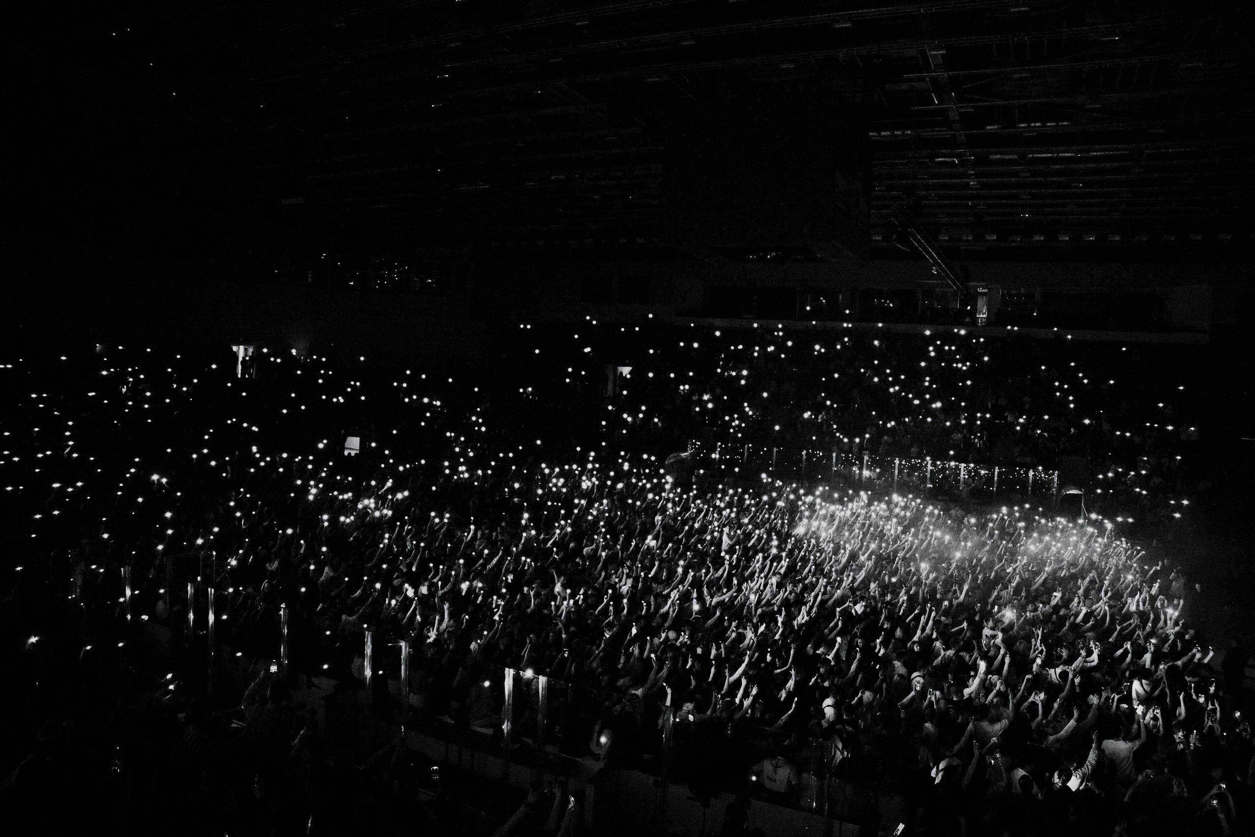 MACAN. Фотограф Москва