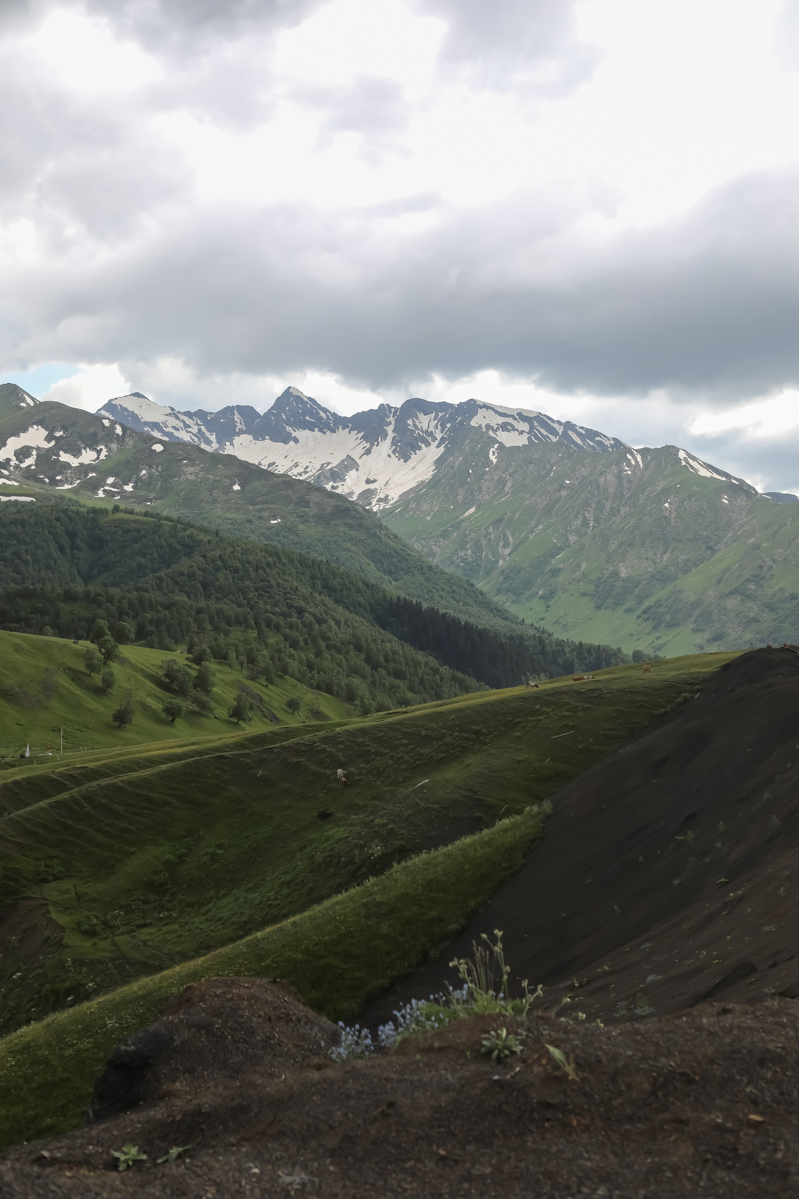 Пейзаж. Фотограф Наталья Туева FineArt съёмка
