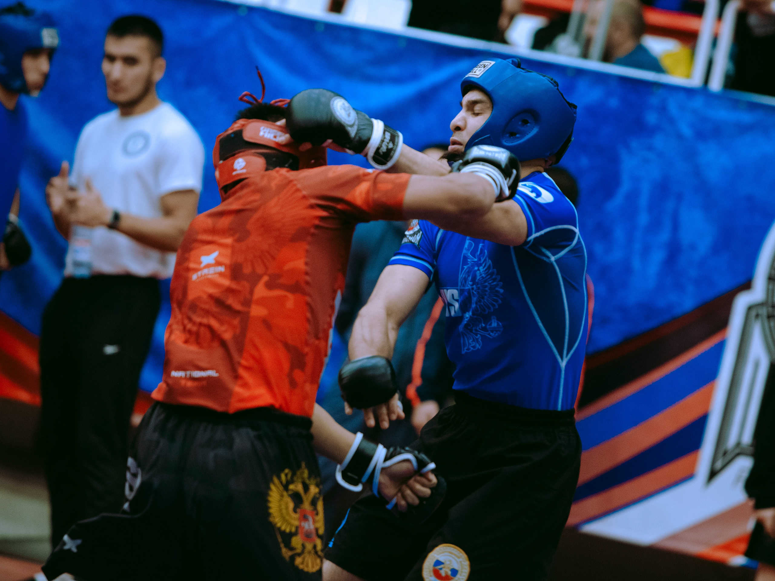 Кубок России по спортивной борьбе панкратион `23. Портретный фотограф в Москве Дарья Цезария