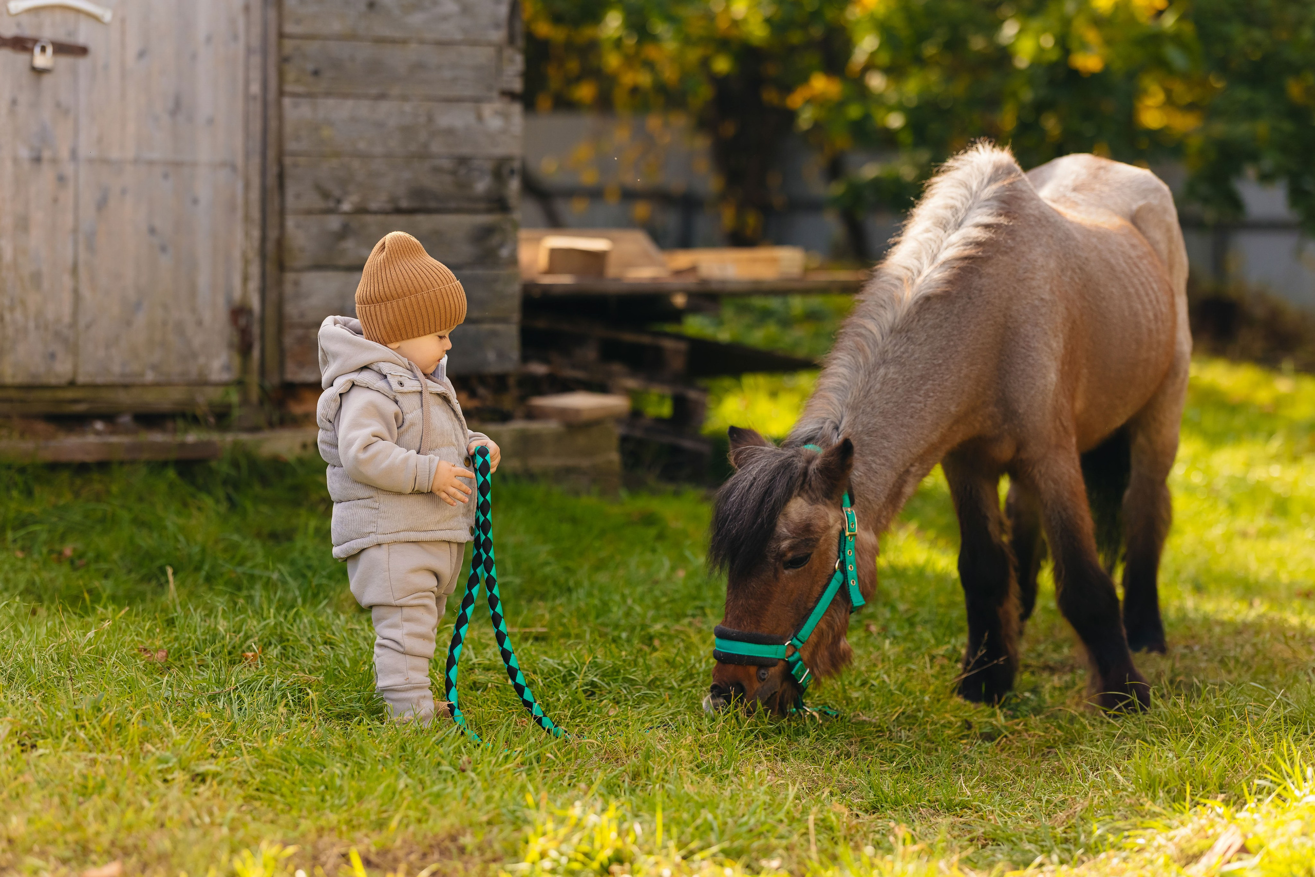 2024.10.02 Илья и лошадка. Ирина Бешляга. Фотограф в Москве и по всей России