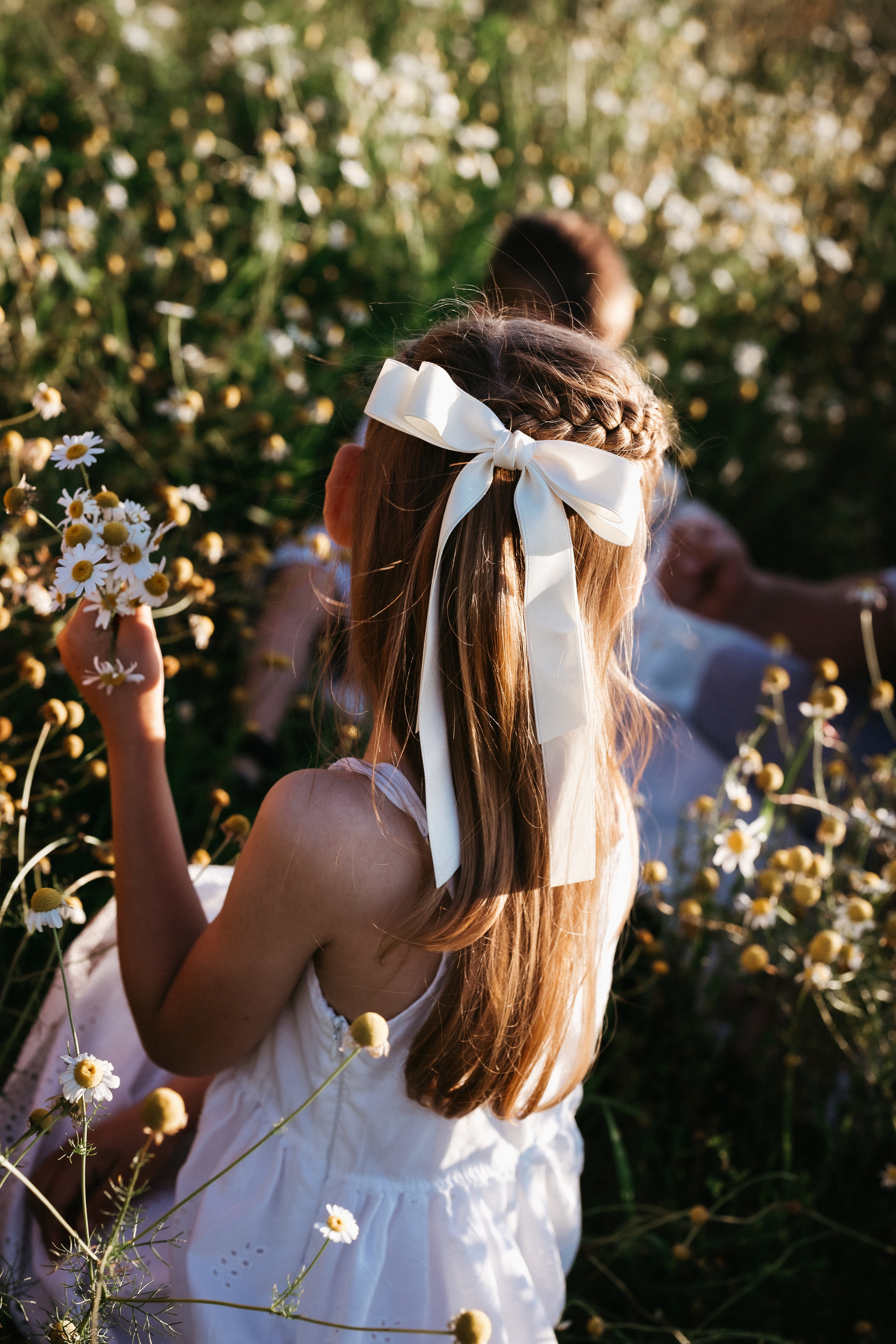 Летний вечер. Евгения Пелипас