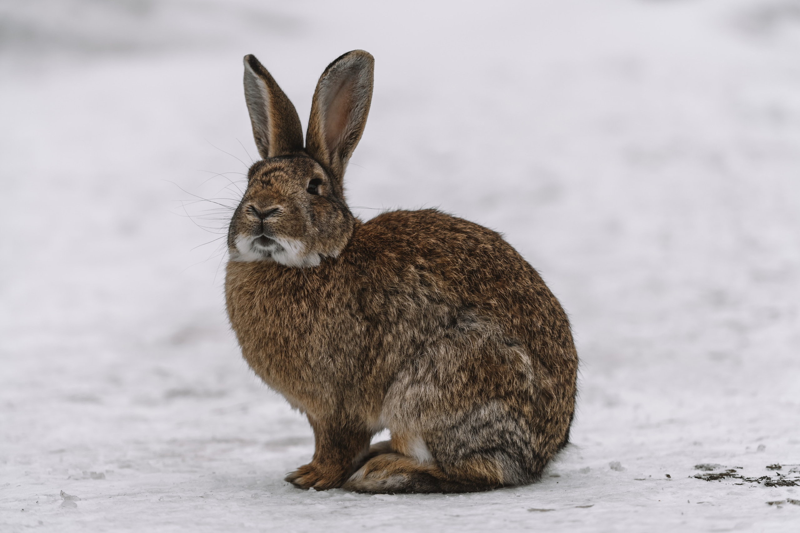 Байкал. Иркутск. Ольхон. Хужир. Листвянка. Оператор и Фотограф в Санкт-Петербурге и Москве