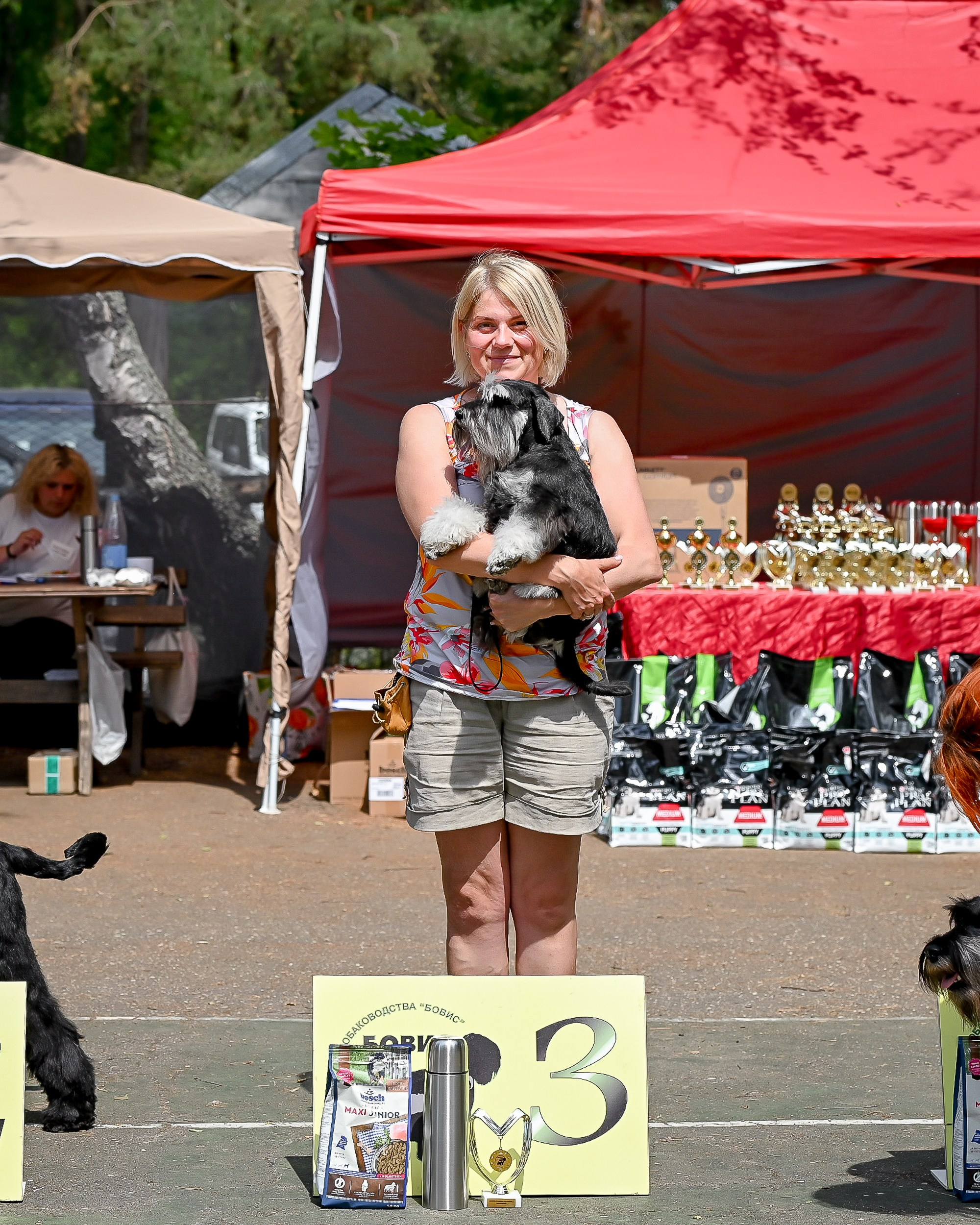 Делинсо Бэлэнс, питомник цвергшнауцеров Беларусь, купить щенка цвергшнауцера, цвергшнауцер, Новополоцк, выставка собак