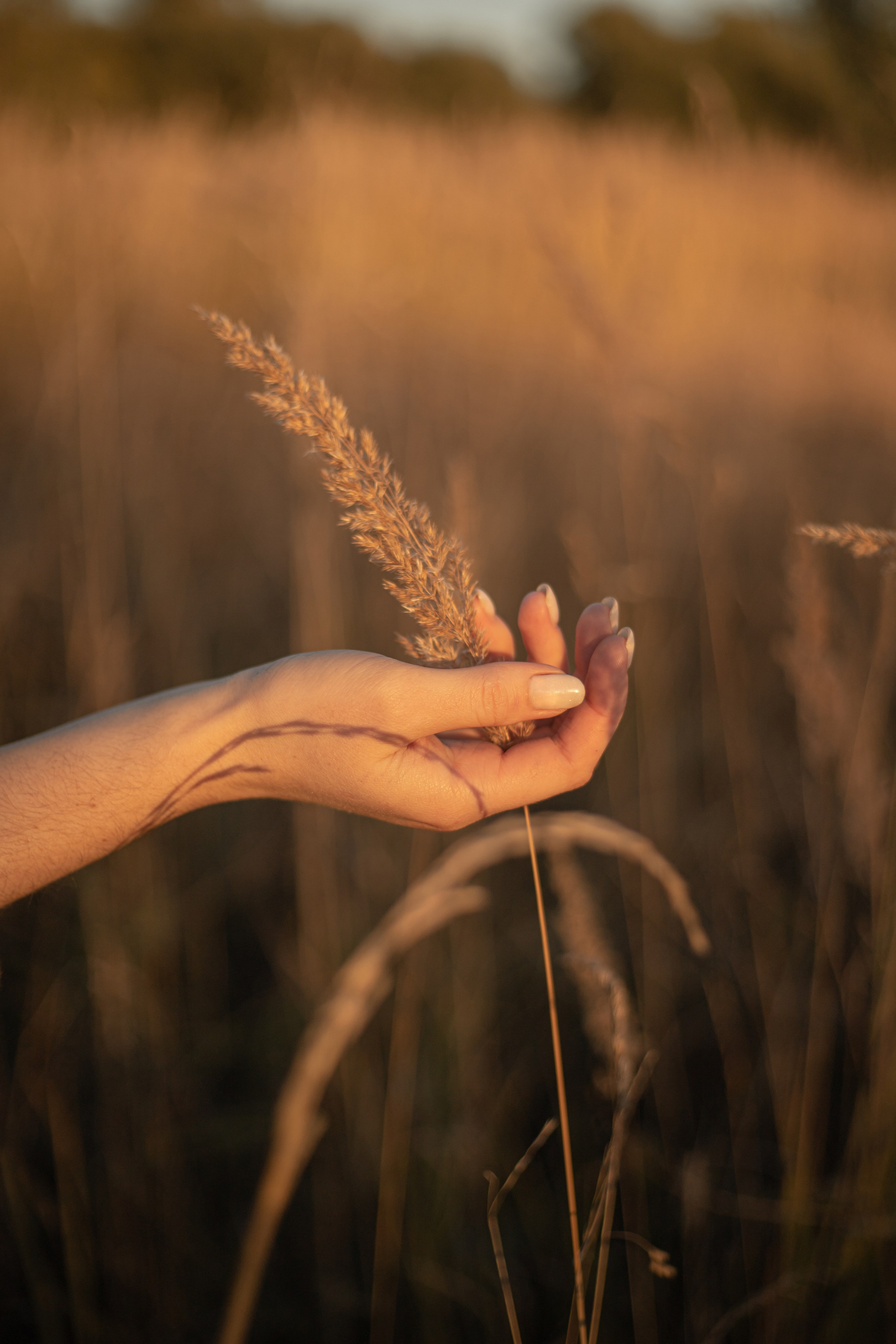 Фотограф Киржач/Москва_Екатерина Мартынова
