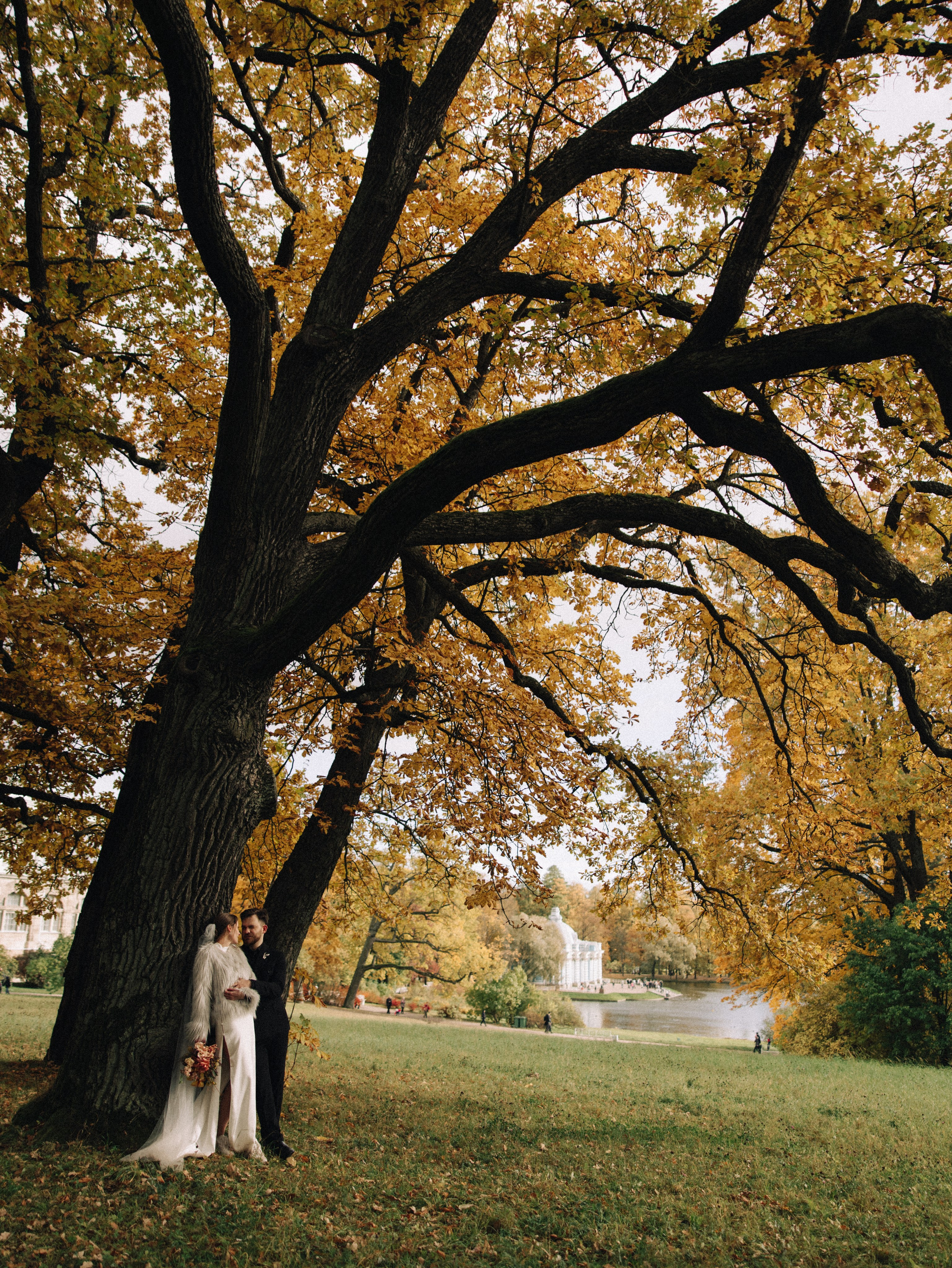 Портфолио. Фотограф Санкт-Петербург