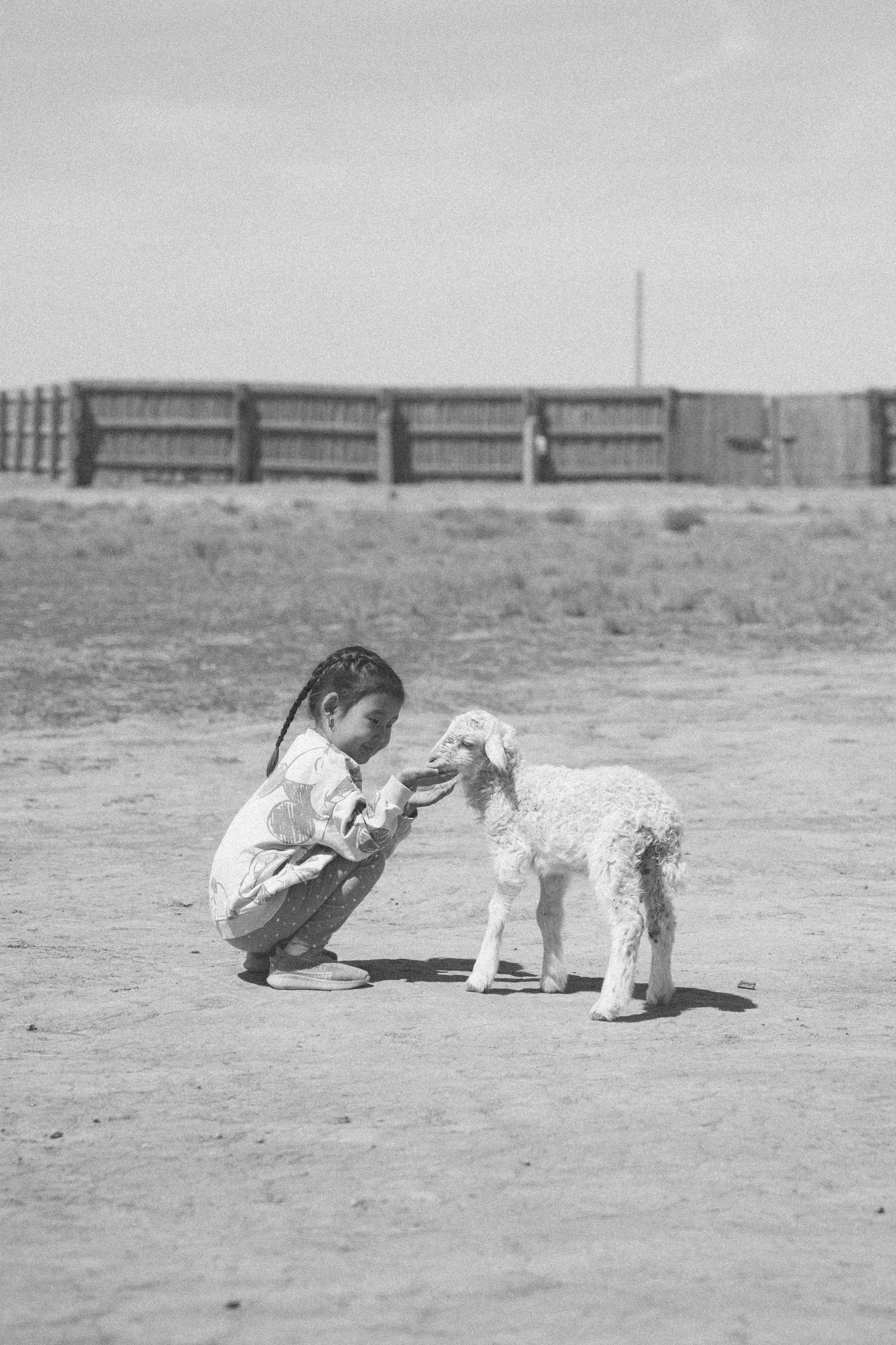 Калмыкия I Май 2024. Commercial photographer Natalia Bychkova