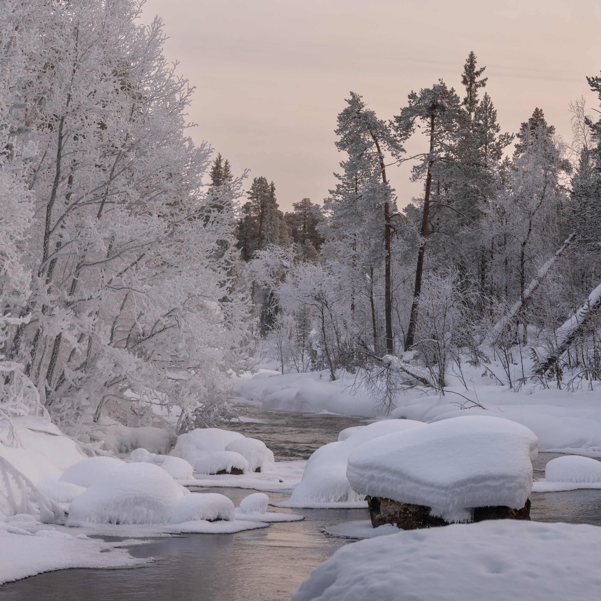 Зима на Кольском полуострове. Daria wanderer photography