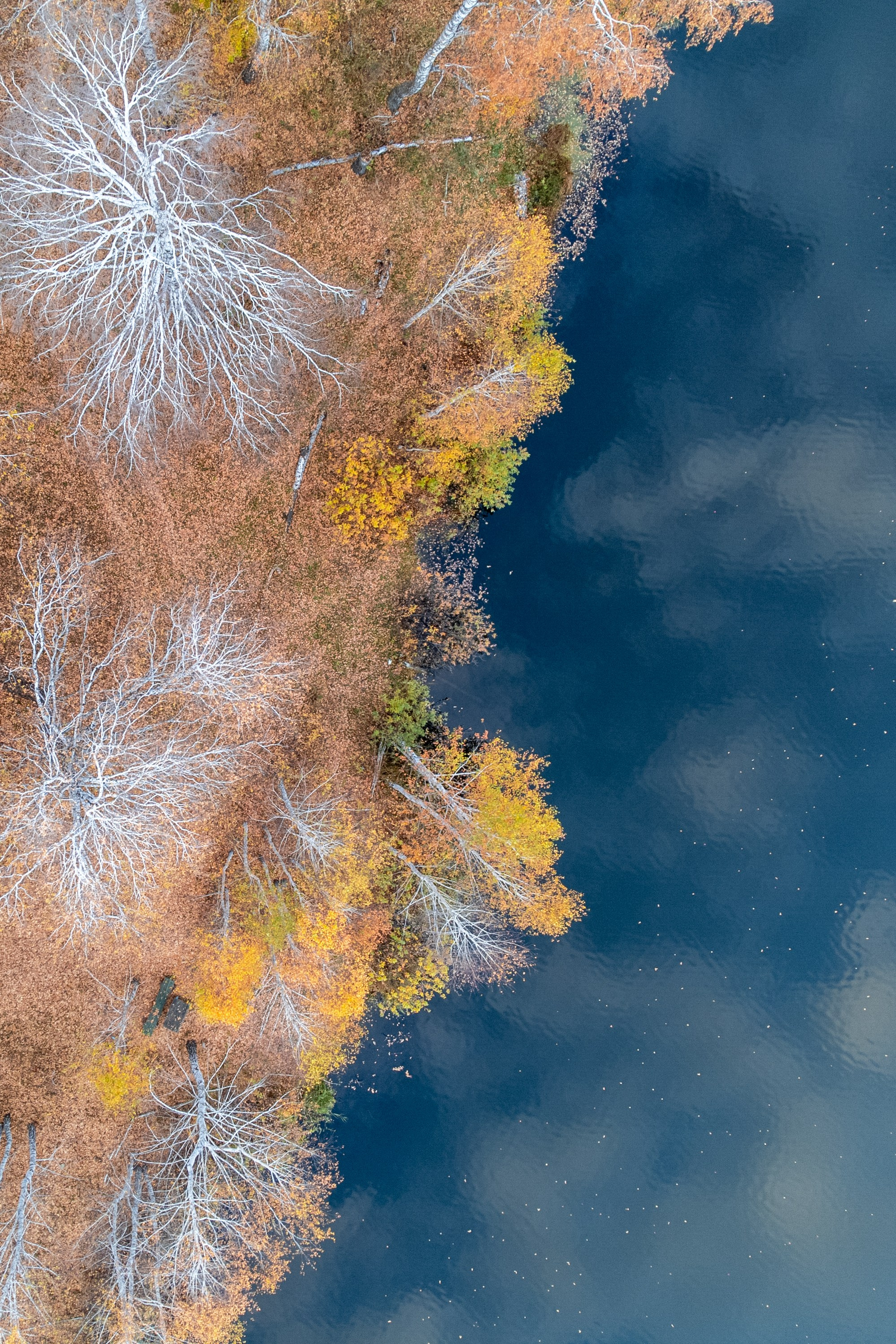 Портфолио. Daria wanderer photography