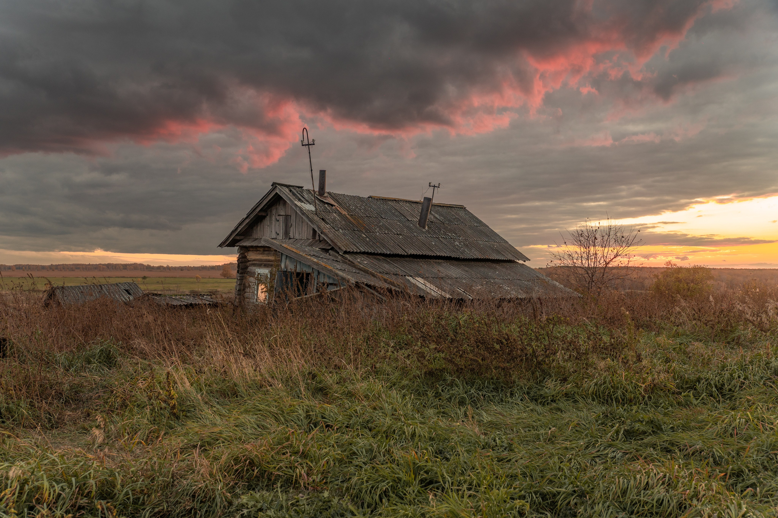 Портфолио. Daria wanderer photography