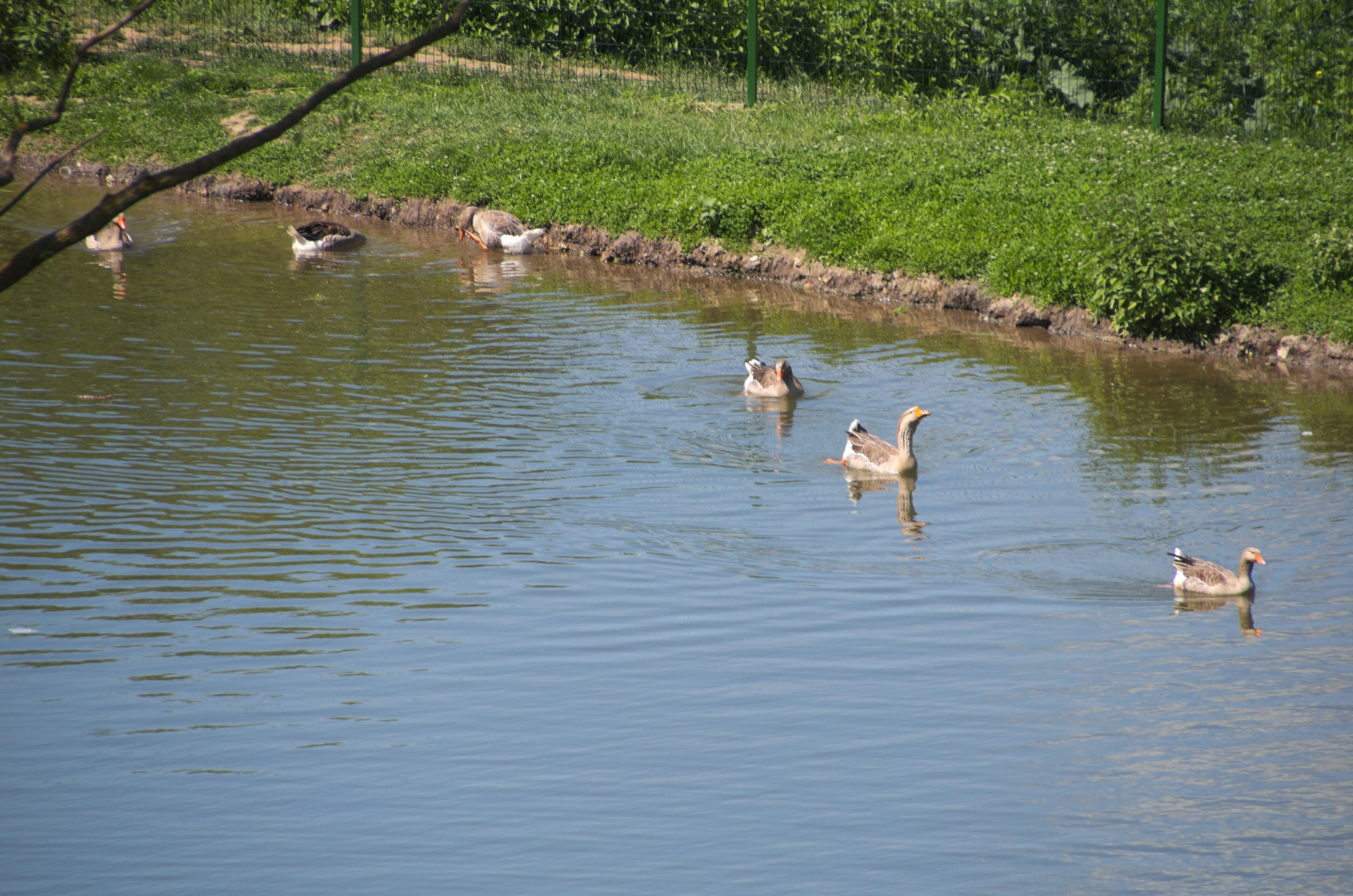 Таруса+Серпухов | 18.06.2017. Галерея Фантим