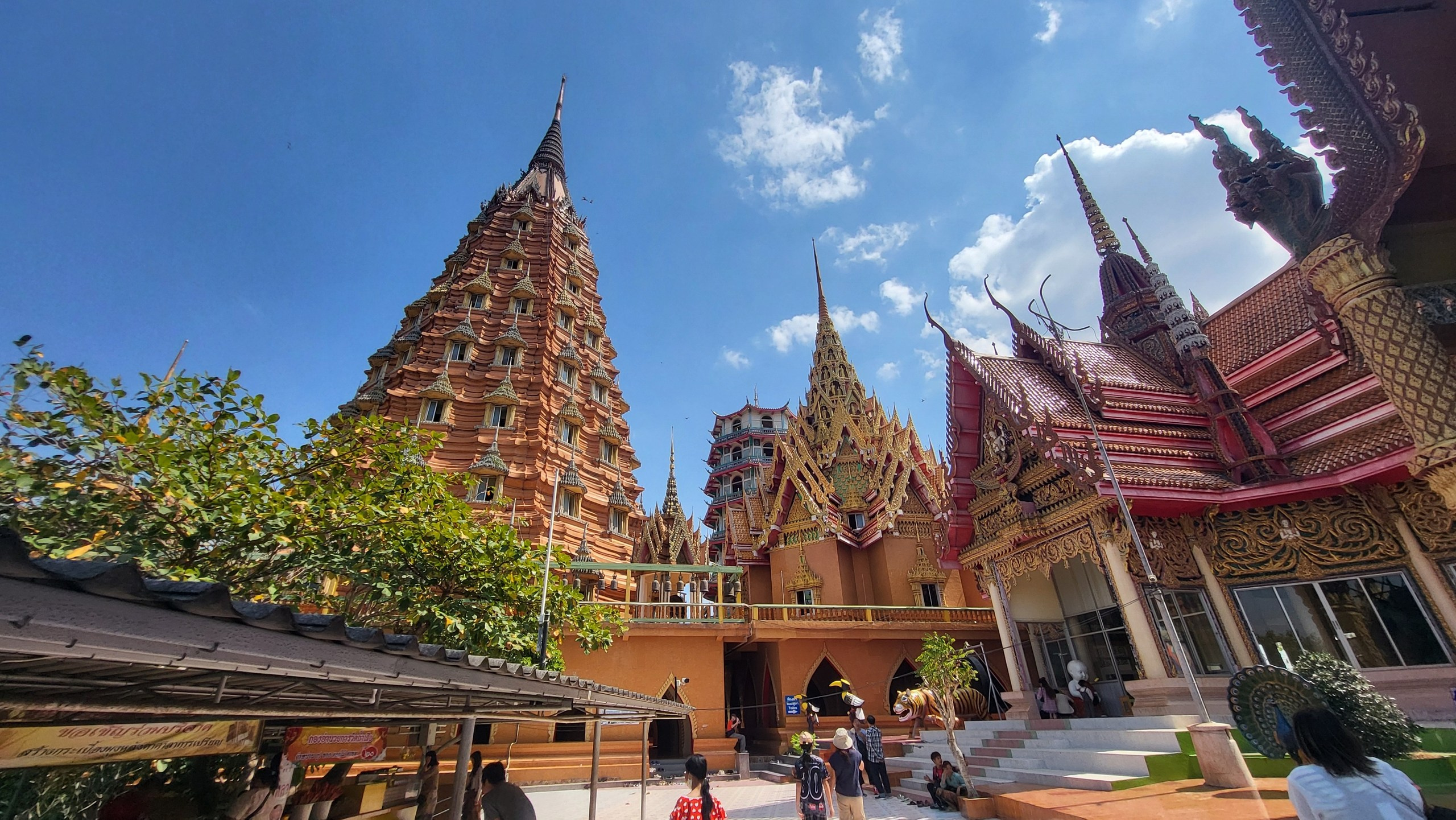 Таиланд | январь–февраль 2024. Галерея Фантим