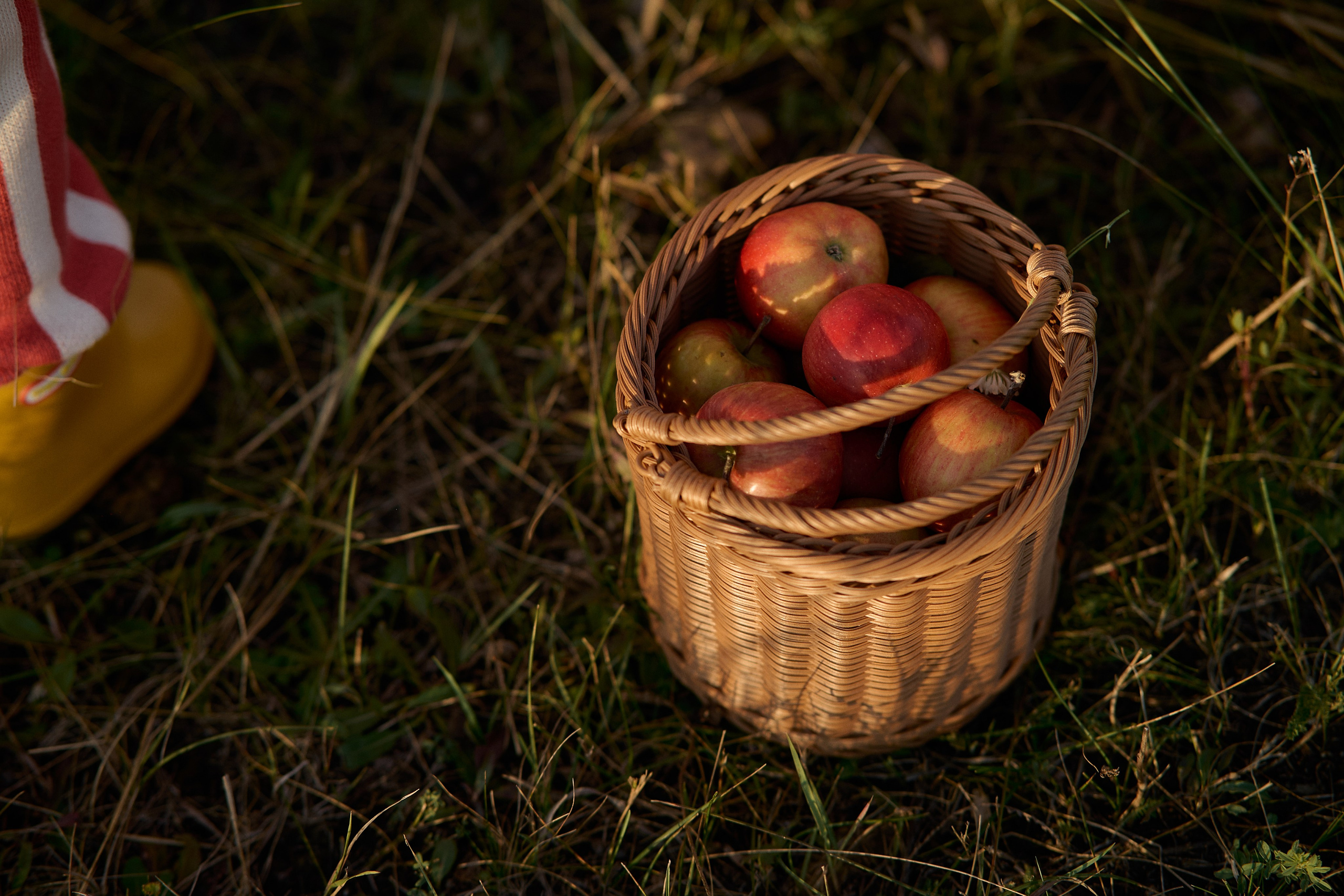 Оля и Аделина. Семейный и свадебный lifestyle-фотограф в Москве Мария Петрова