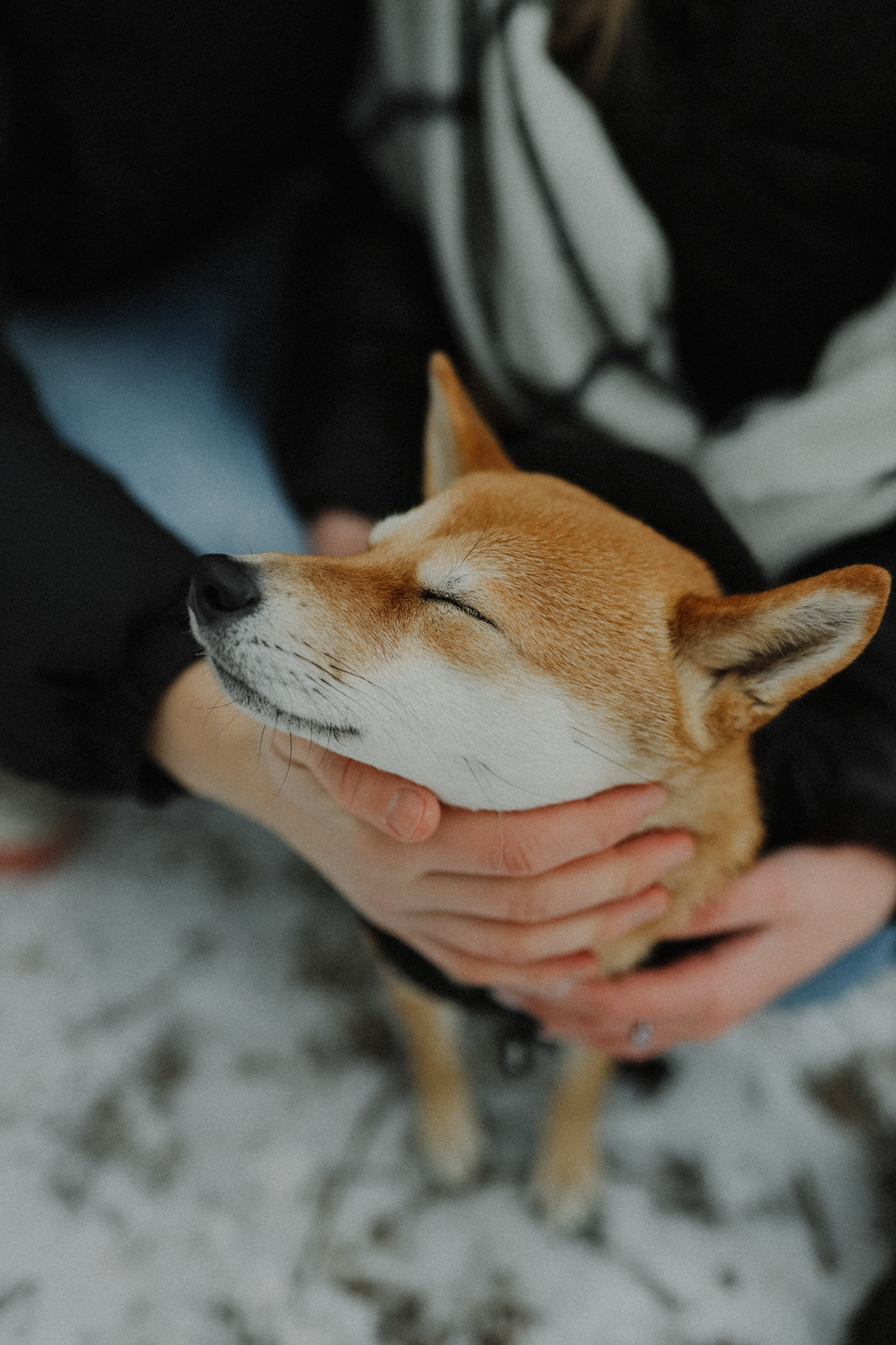 Покажи мне любовь. Свадебный и семейный фотограф в Варшаве