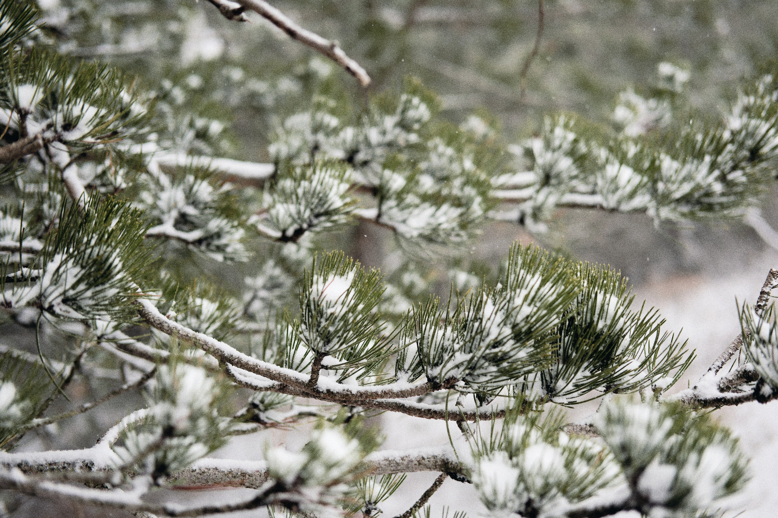 Каролинка. Фотограф в Анапе и Краснодаре Тина