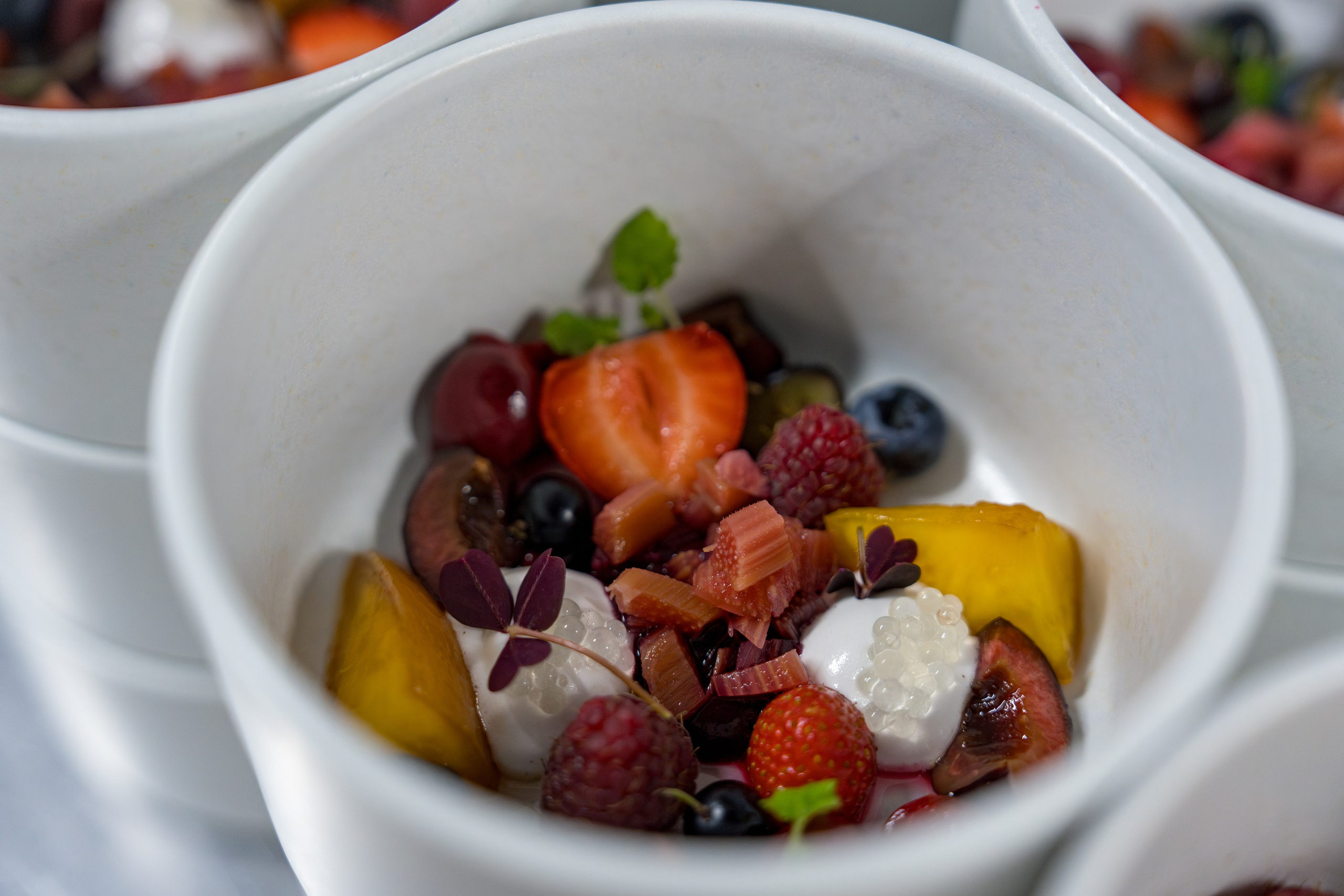 Гастрономический ужин «Лесная Италия» с Мирко Дзаго в ресторане RiverSide. Репортажный фотограф в Красной Поляне и Сочи Павлюченко Екатерина